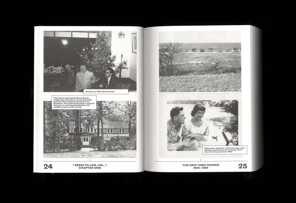 Beispielinhalt (Bild) I Seem to Live