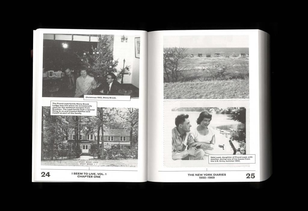 Beispielinhalt (Bild) I Seem to Live