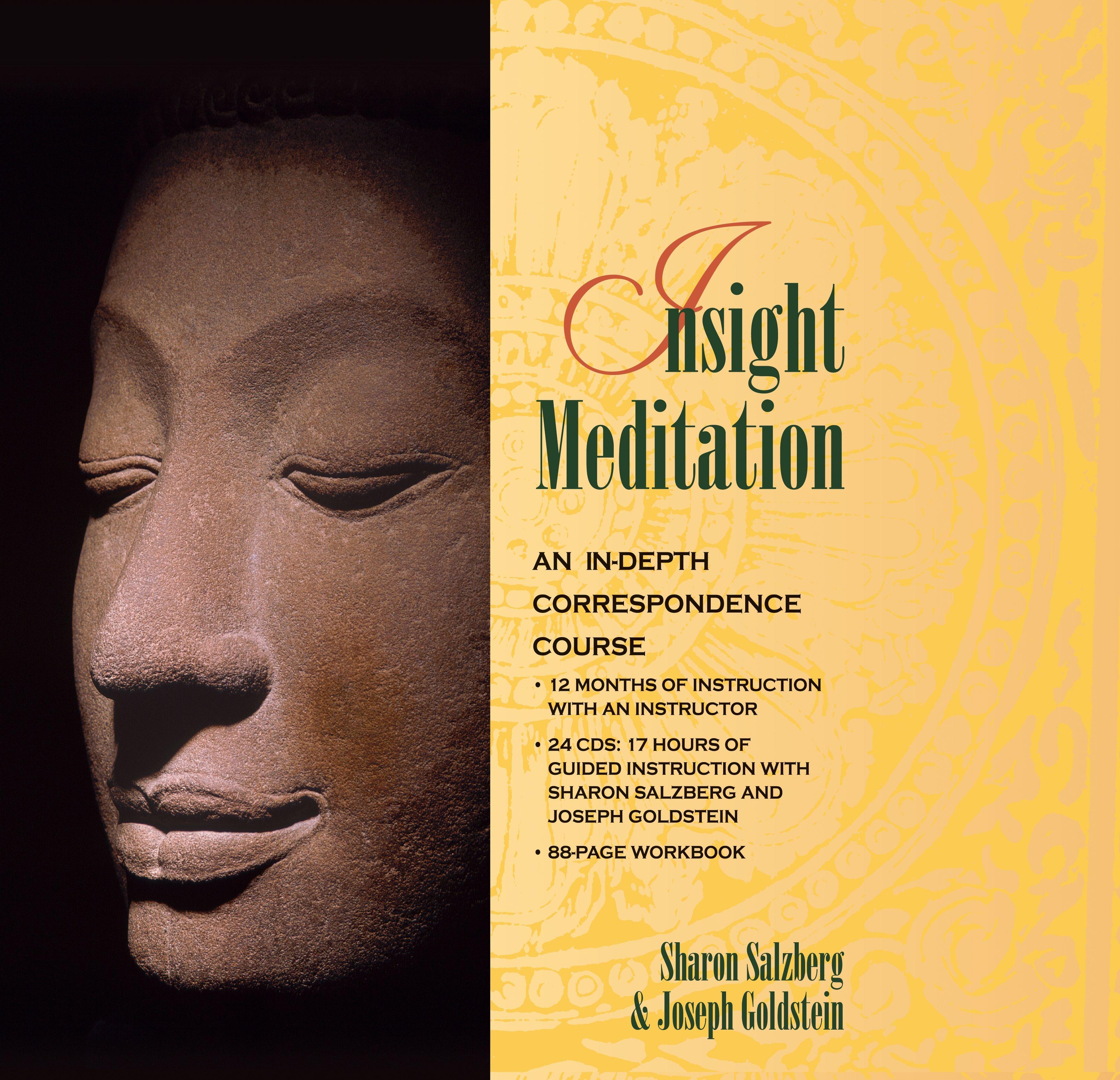 Vorderes Coverbild Insight Meditation