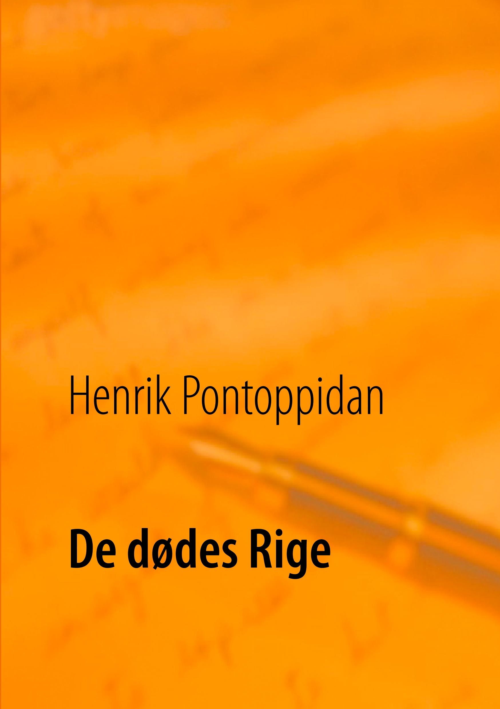 Vorderes Coverbild De dødes Rige