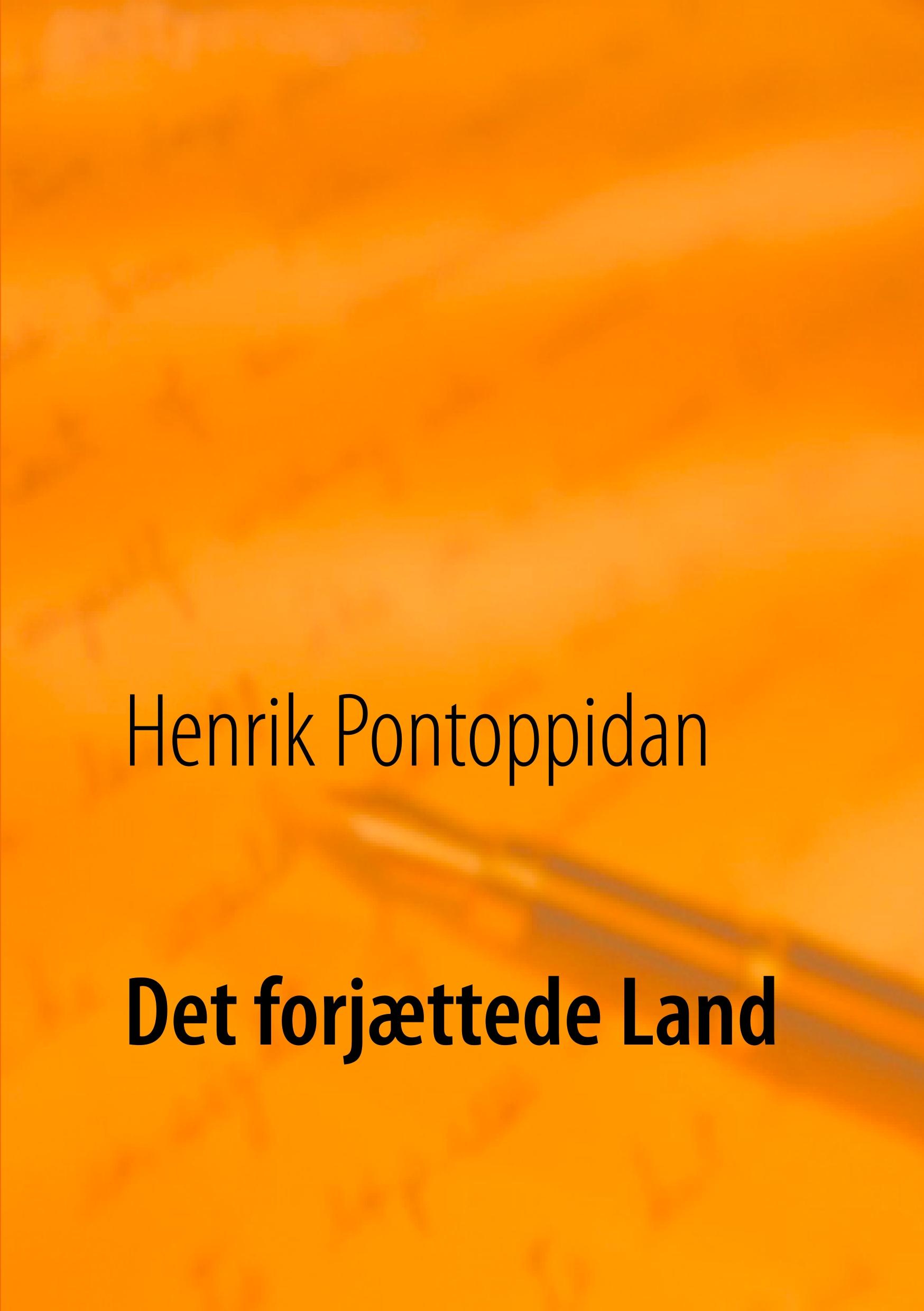 Vorderes Coverbild Det forjættede Land
