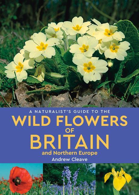 Vorderes Coverbild A Naturalist's Guide to Wild Flowers of Britain & Northern Europe