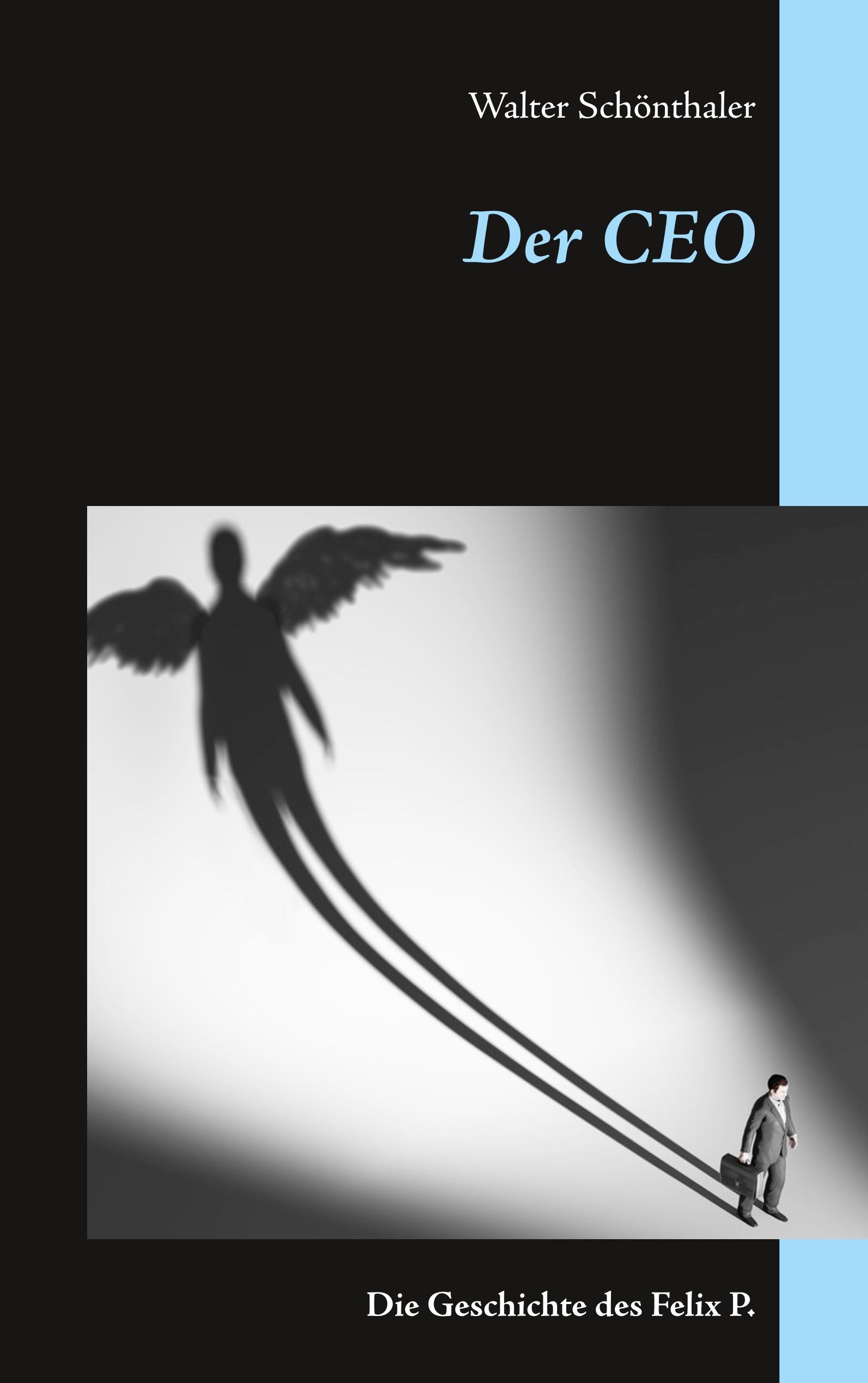 Vorderes Coverbild Der CEO