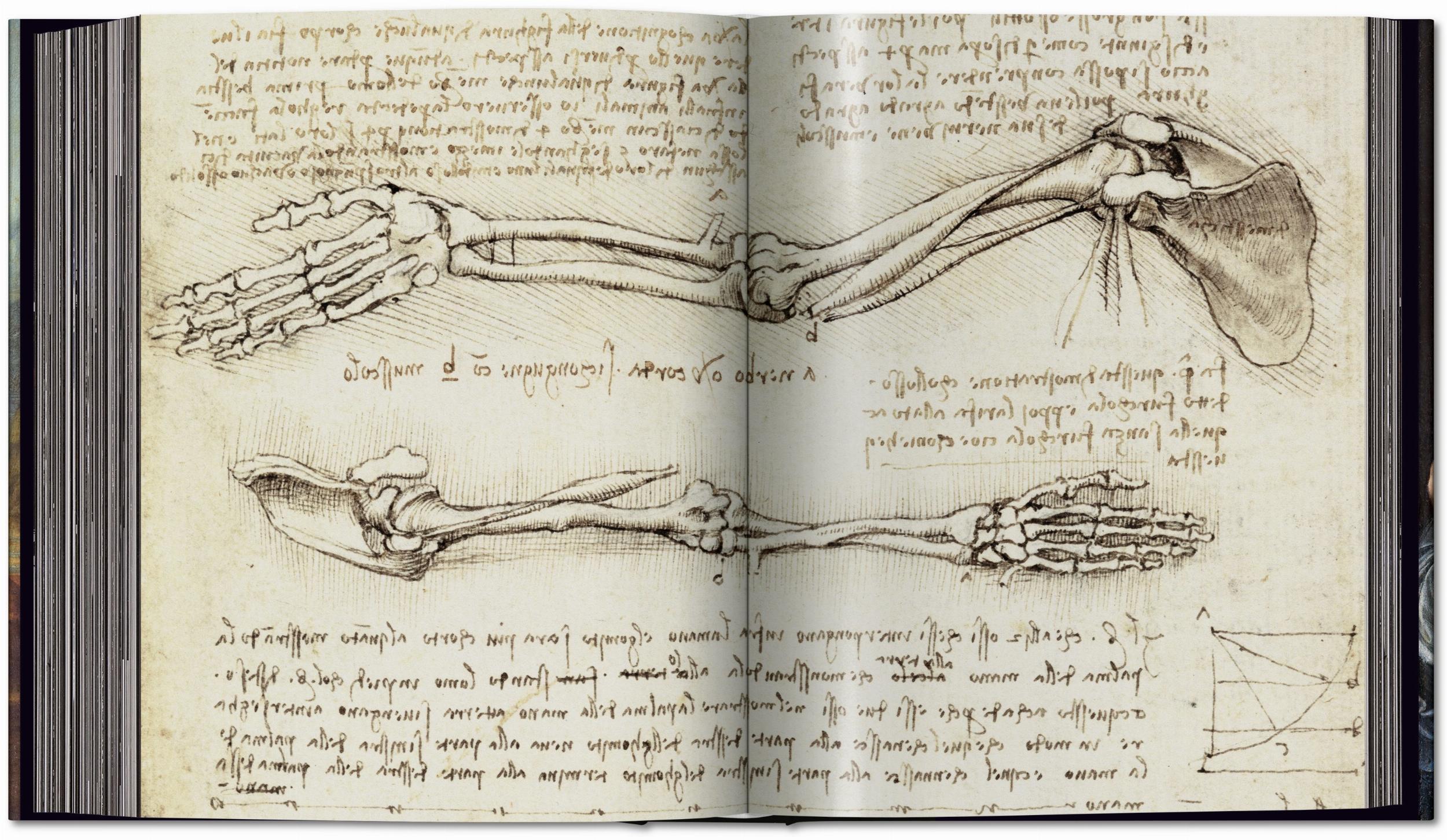 Beispielinhalt (Bild) Leonardo. Sämtliche Gemälde und Zeichnungen