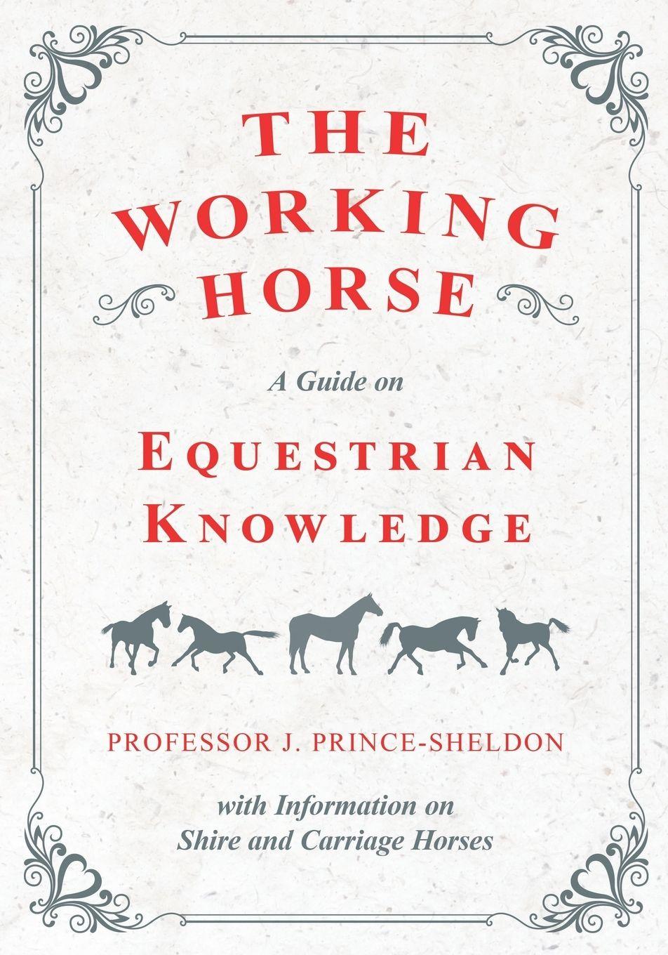 Vorderes Coverbild The Working Horse - A Guide on Equestrian Knowledge with Information on Shire and Carriage Horses