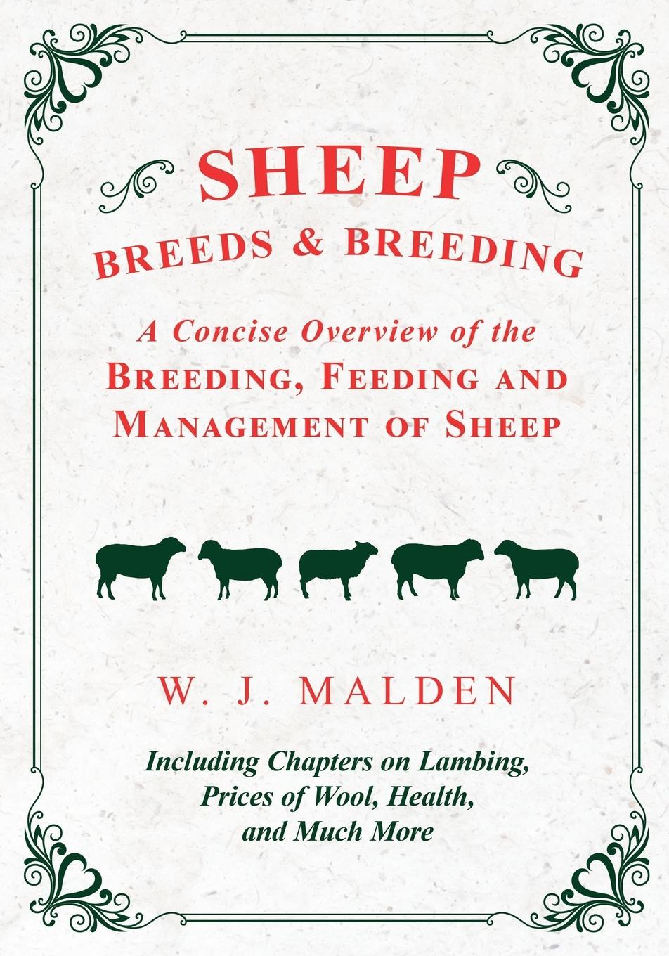 Vorderes Coverbild Sheep Breeds and Breeding - A Concise Overview of the Breeding, Feeding and Management of Sheep, Including Chapters on Lambing, Prices of Wool, Health, and Much More