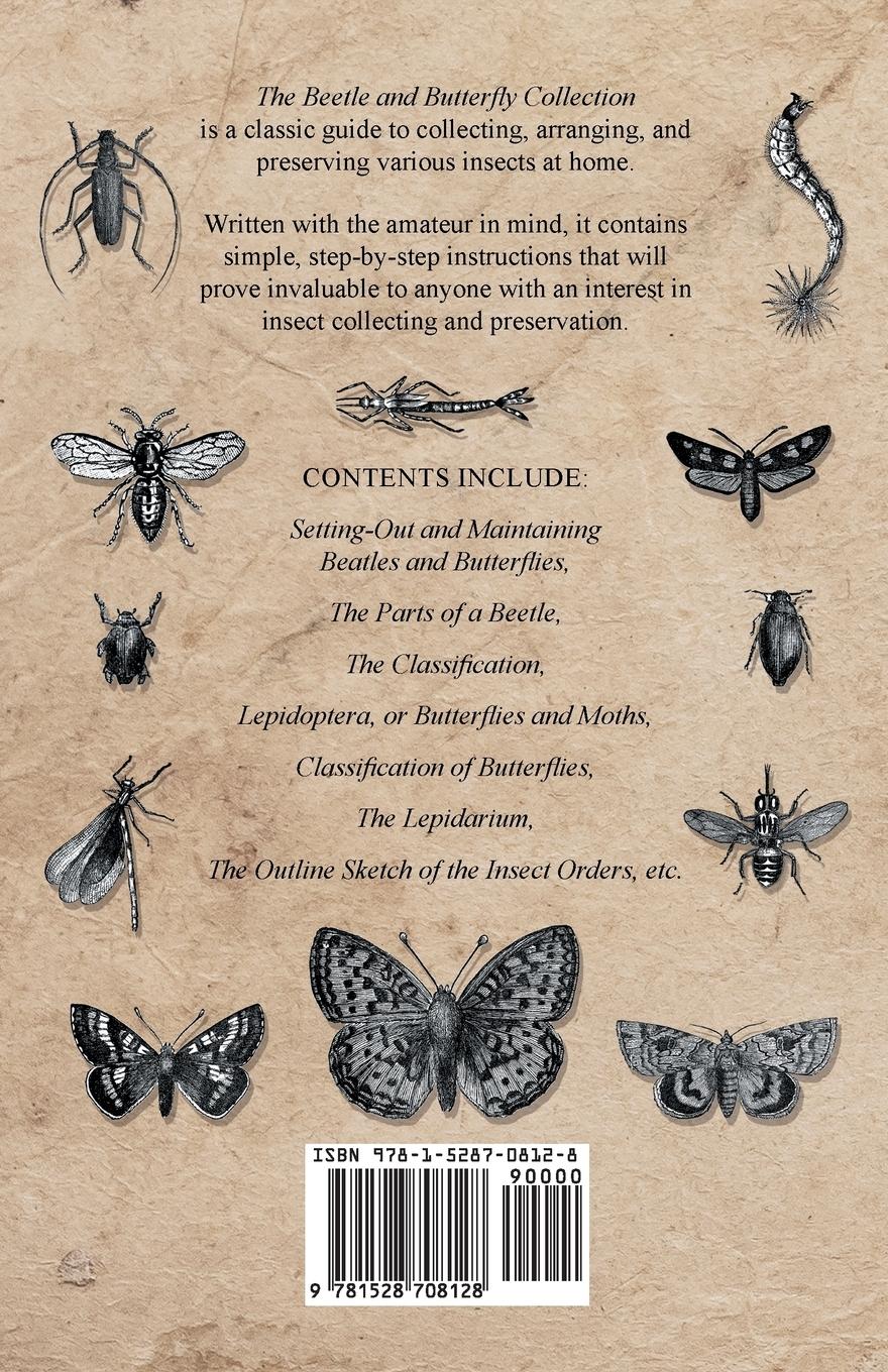 Rückseitencover The Beetle and Butterfly Collection - A Guide to Collecting, Arranging and Preserving Insects at Home