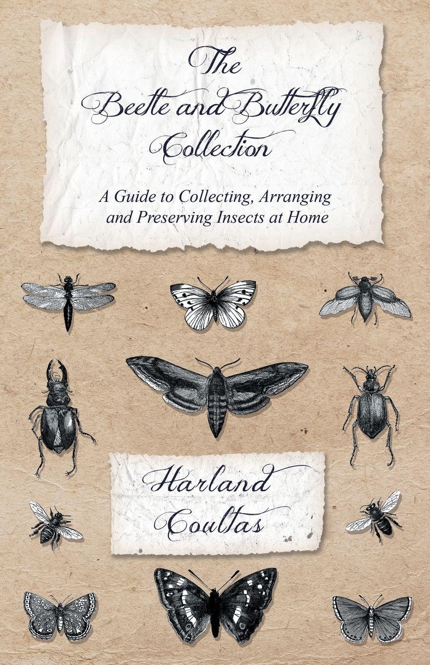 Vorderes Coverbild The Beetle and Butterfly Collection - A Guide to Collecting, Arranging and Preserving Insects at Home