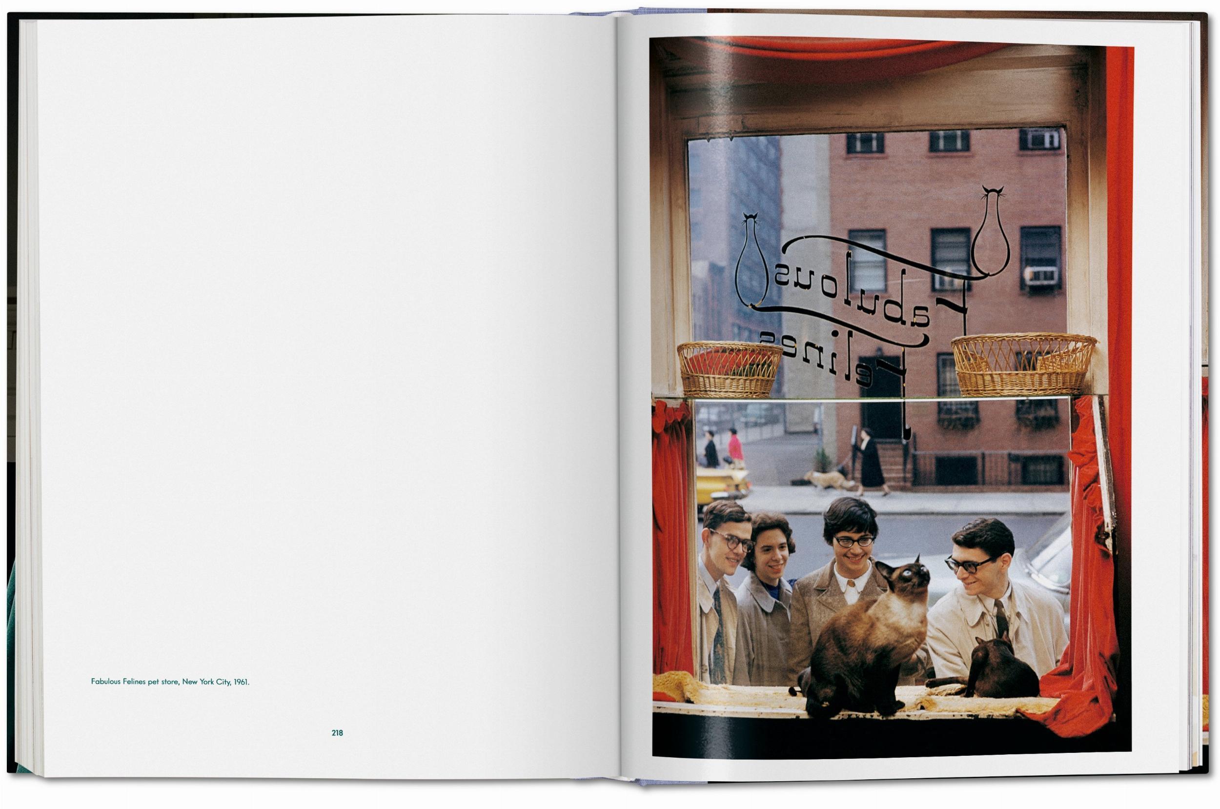 Beispielinhalt (Bild) Walter Chandoha. Cats. Photographs 1942-2018