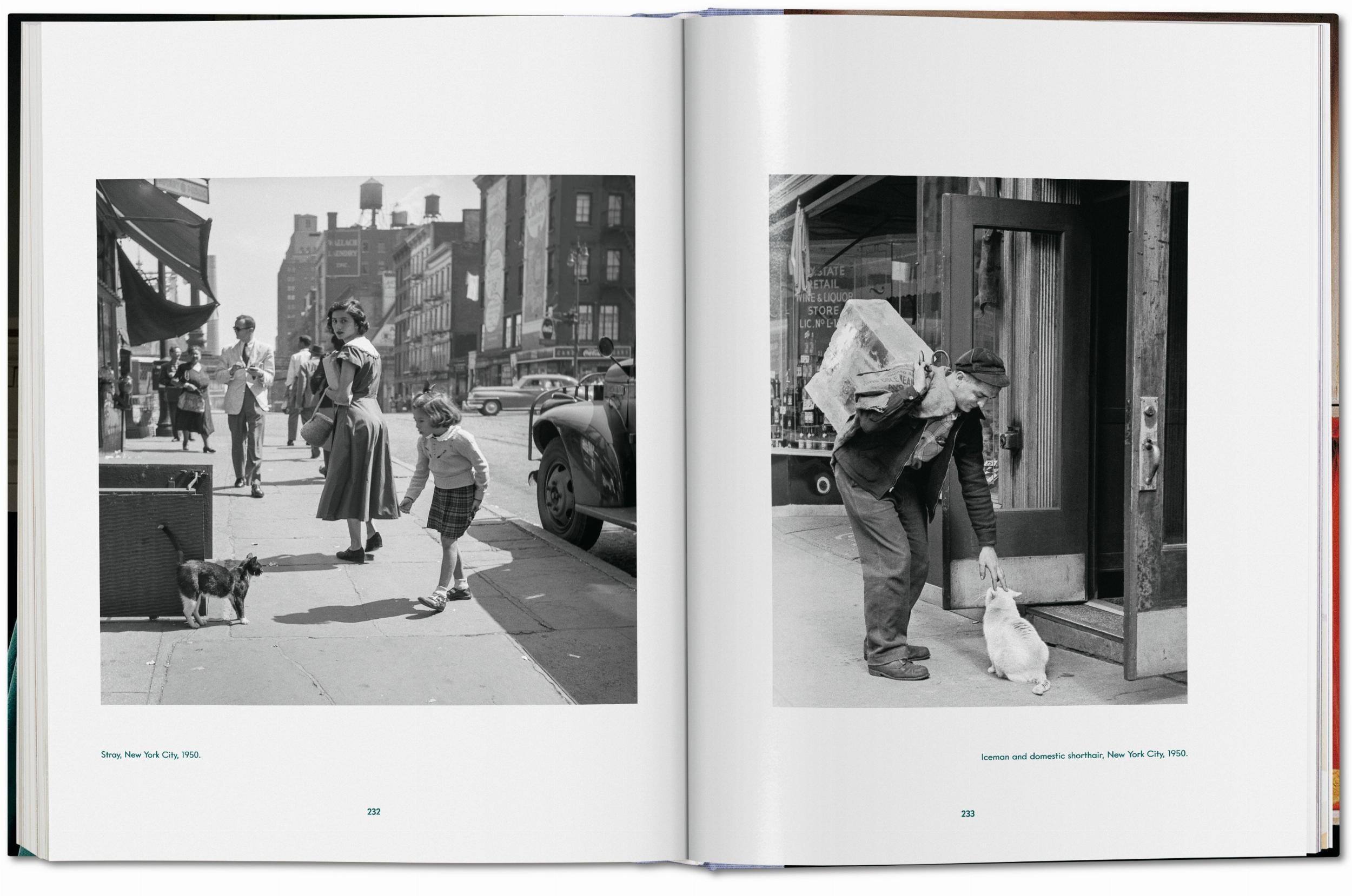 Beispielinhalt (Bild) Walter Chandoha. Cats. Photographs 1942-2018