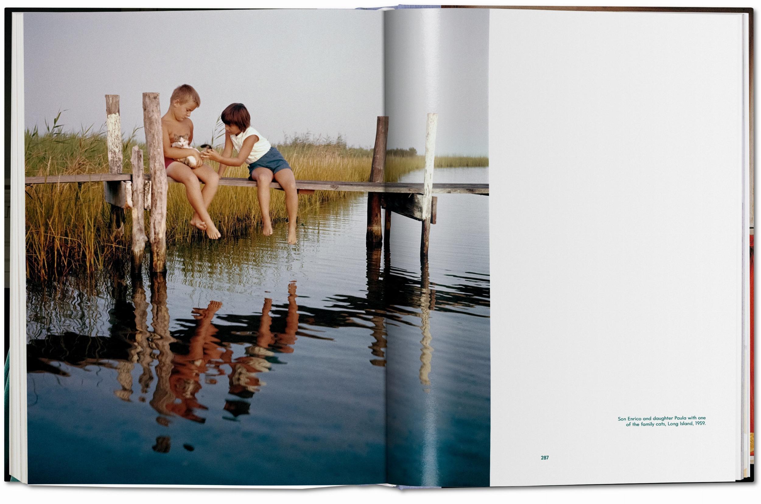 Beispielinhalt (Bild) Walter Chandoha. Cats. Photographs 1942-2018