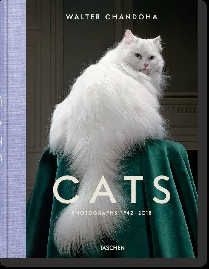 Vorderes Coverbild Walter Chandoha. Cats. Photographs 1942-2018