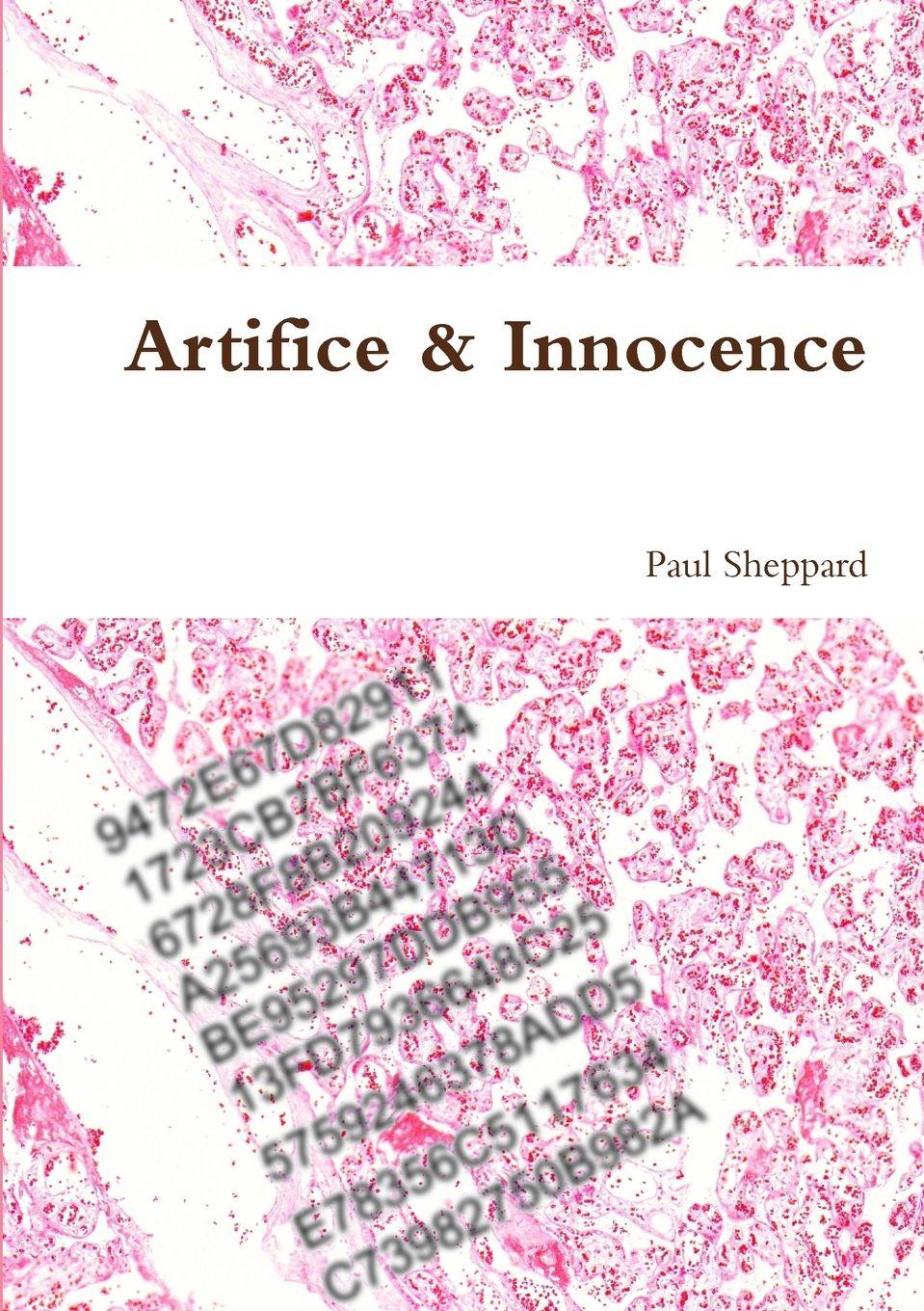 Vorderes Coverbild Artifice & Innocence