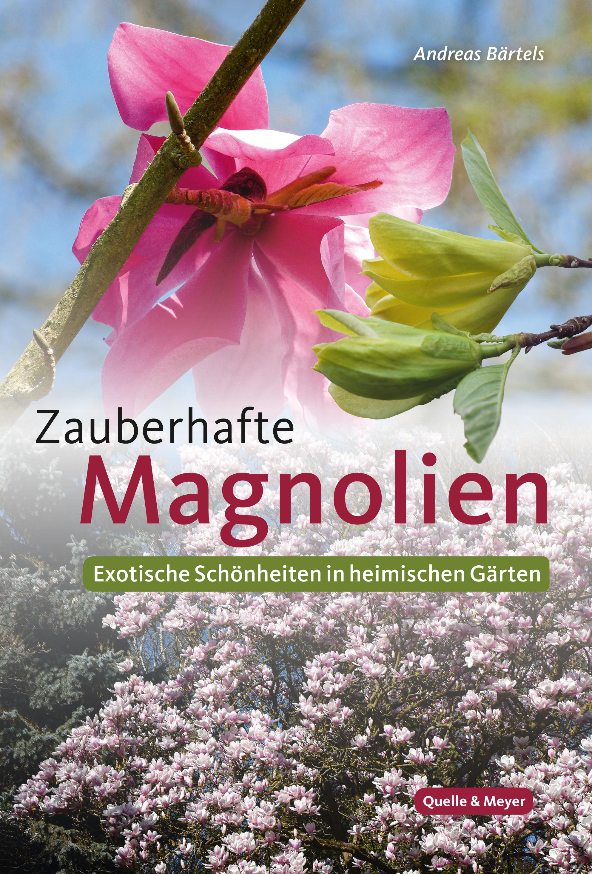 Vorderes Coverbild Zauberhafte Magnolien