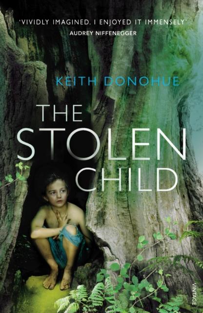 Vorderes Coverbild The Stolen Child