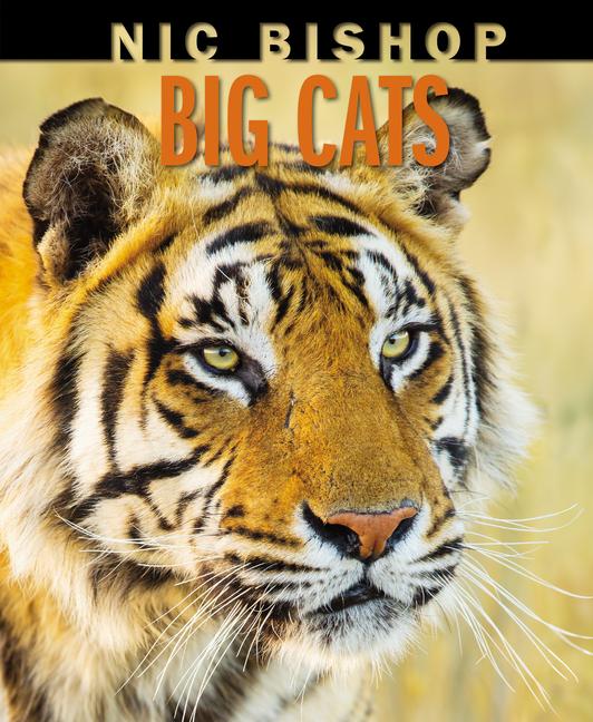 Vorderes Coverbild Nic Bishop Big Cats