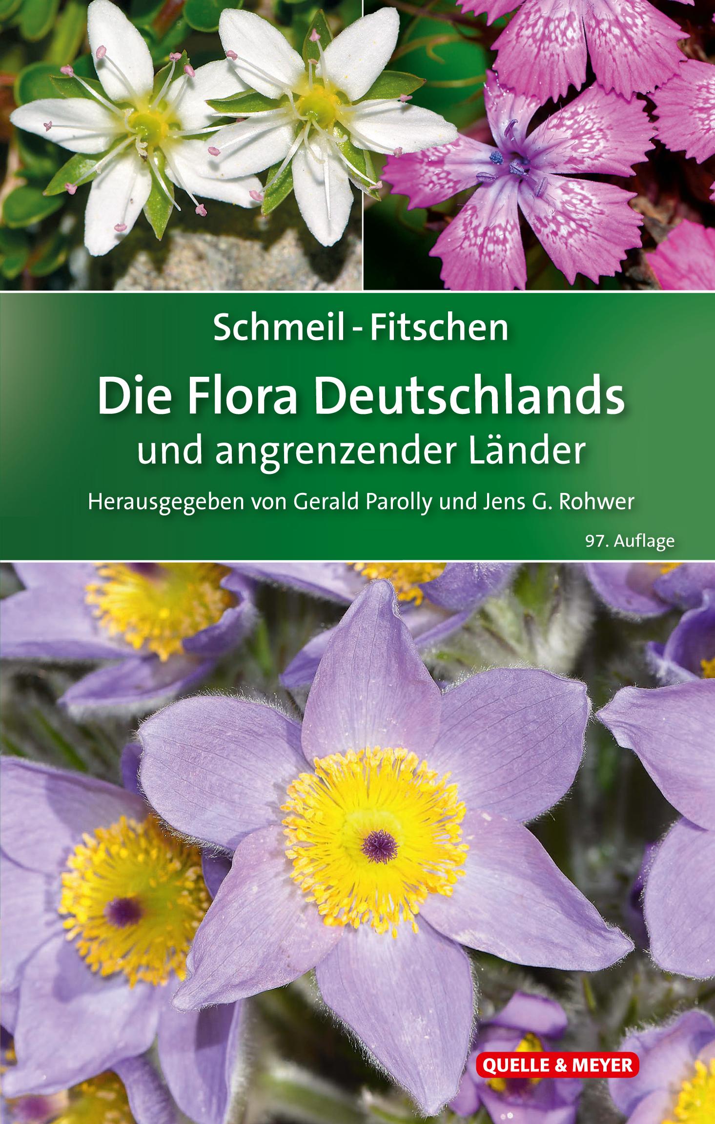 Vorderes Coverbild SCHMEIL-FITSCHEN Die Flora Deutschlands und angrenzender Länder