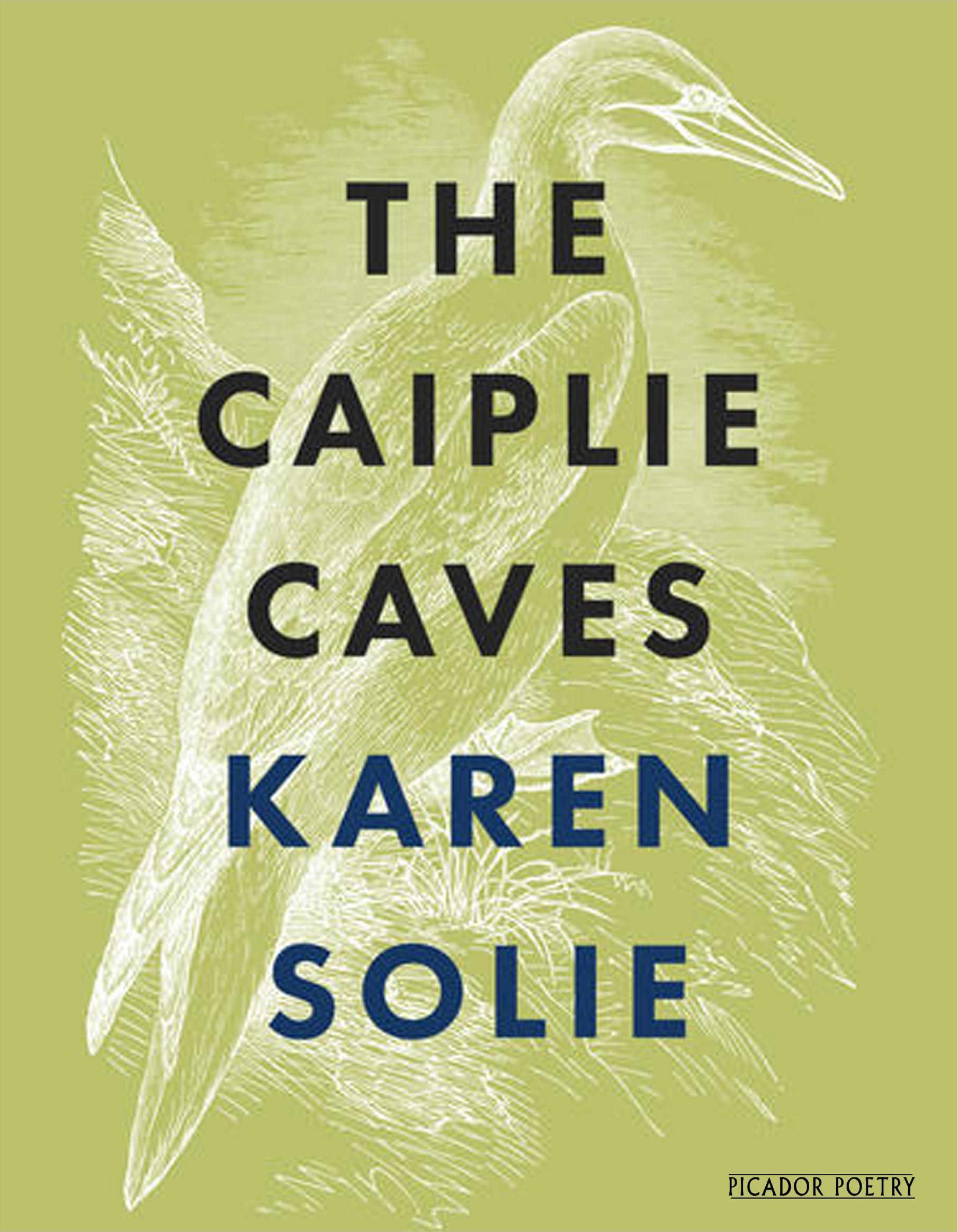 Vorderes Coverbild The Caiplie Caves
