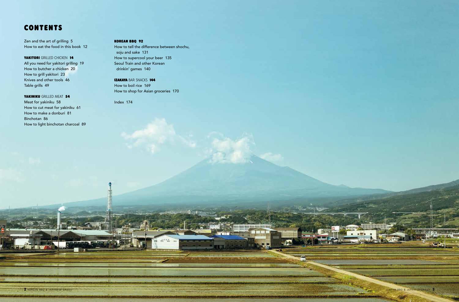 Beispielinhalt (Bild) Korean BBQ & Japanese Grills