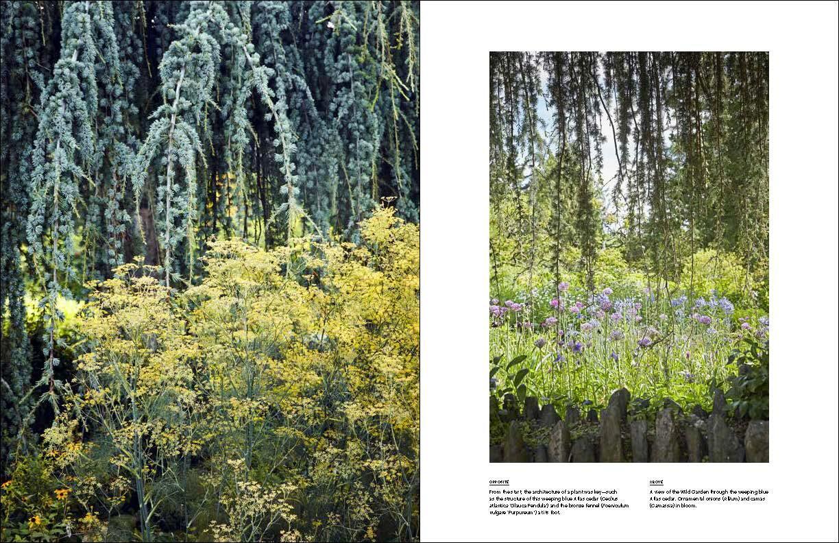 Beispielinhalt (Bild) Nature Into Art