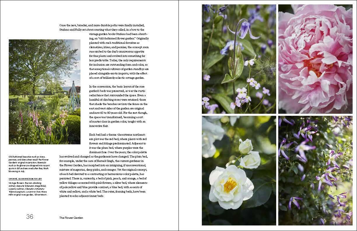 Beispielinhalt (Bild) Nature Into Art