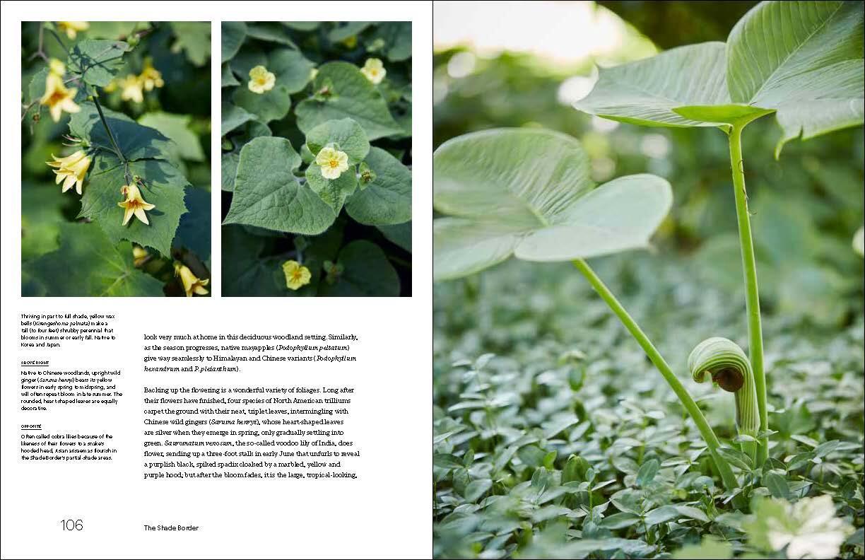 Beispielinhalt (Bild) Nature Into Art