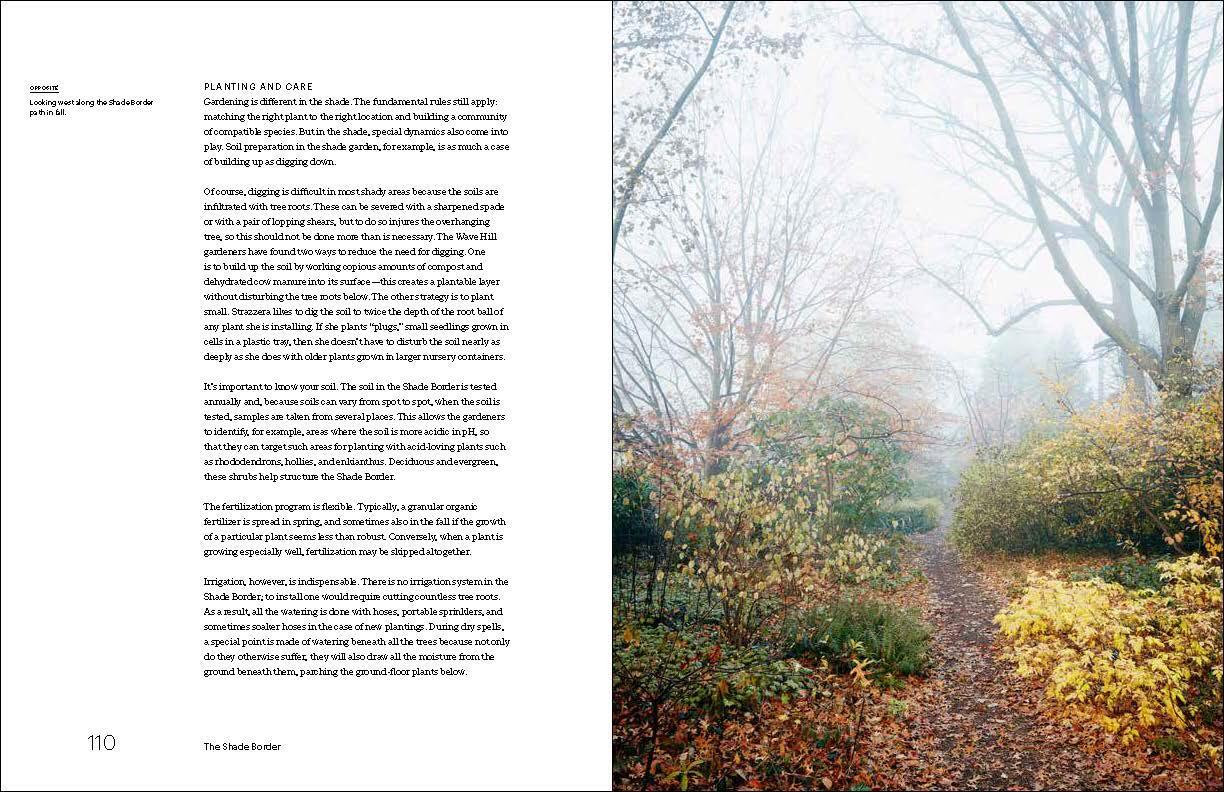 Beispielinhalt (Bild) Nature Into Art