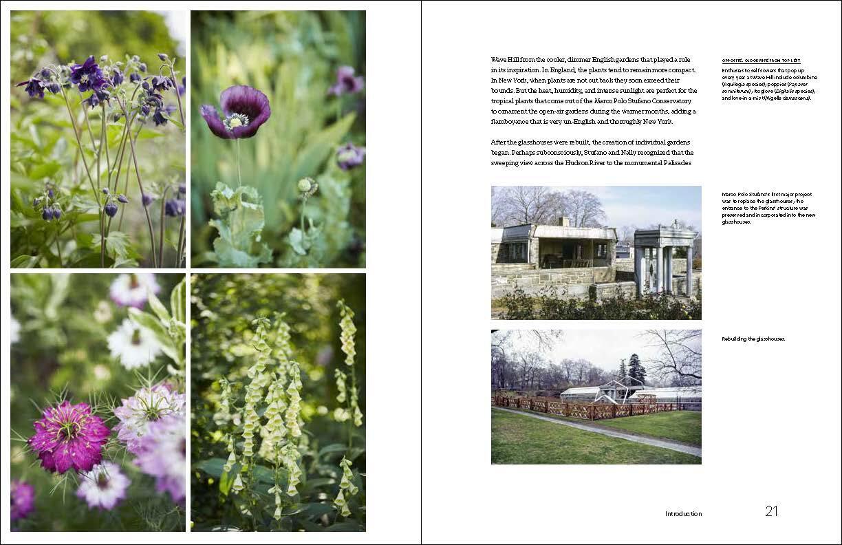 Beispielinhalt (Bild) Nature Into Art