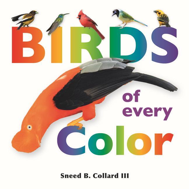 Vorderes Coverbild Birds of Every Color