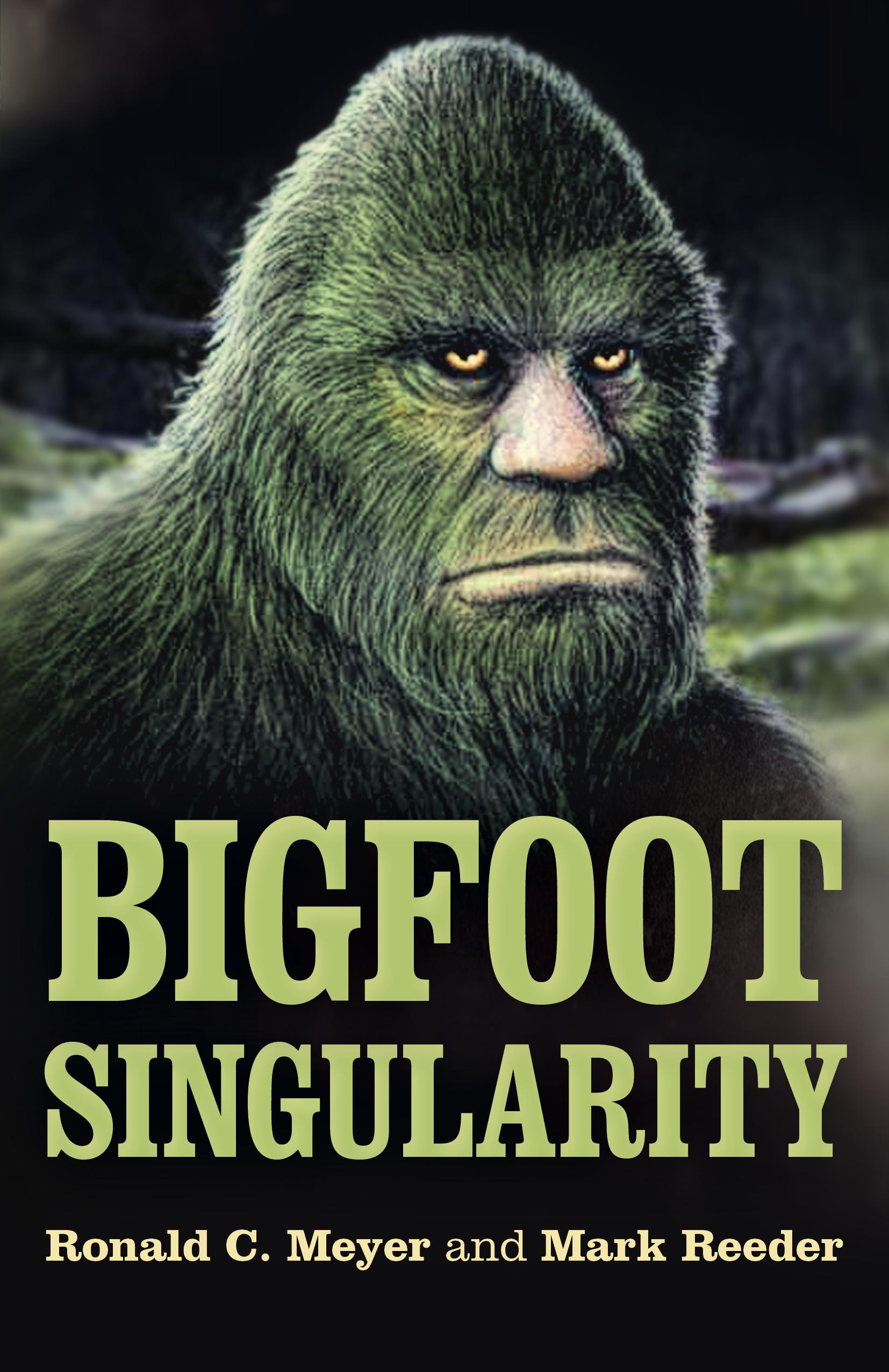 Vorderes Coverbild Bigfoot Singularity