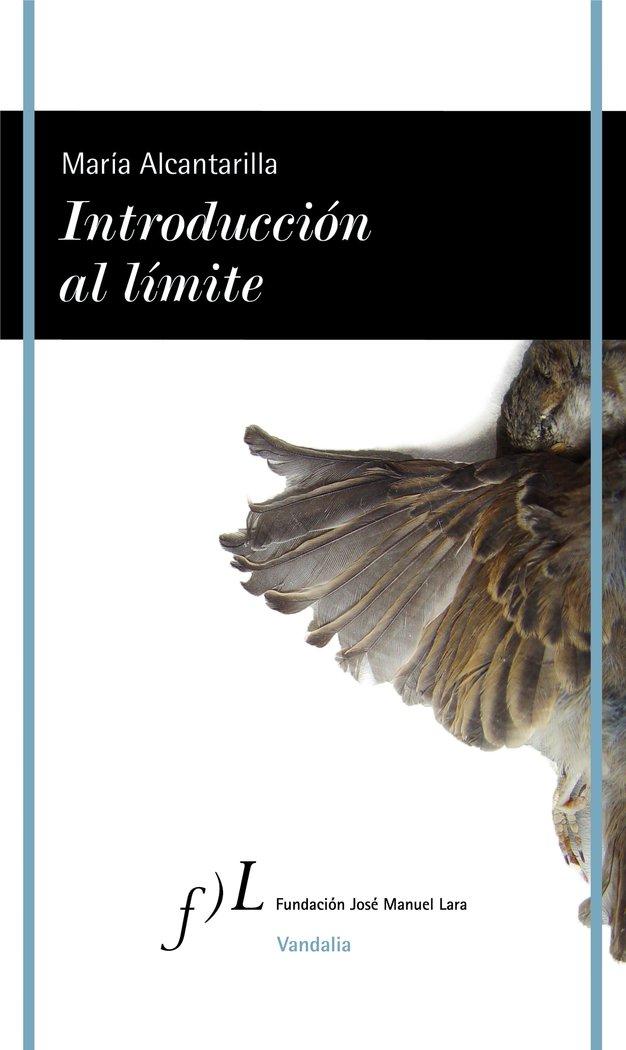 Vorderes Coverbild Introducción al límite