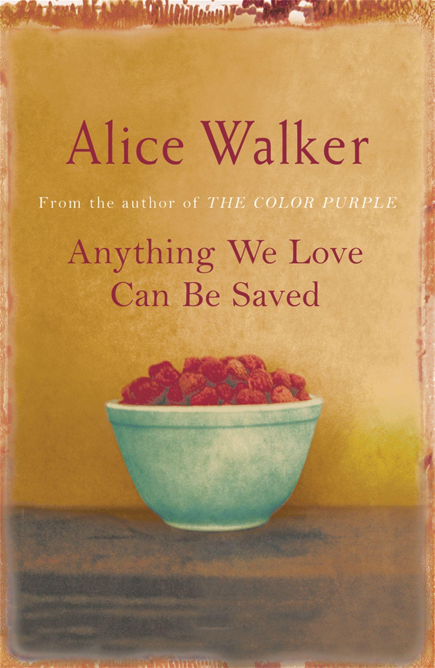 Vorderes Coverbild Anything We Love Can Be Saved