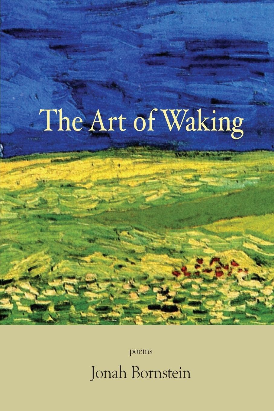 Vorderes Coverbild The Art of Waking