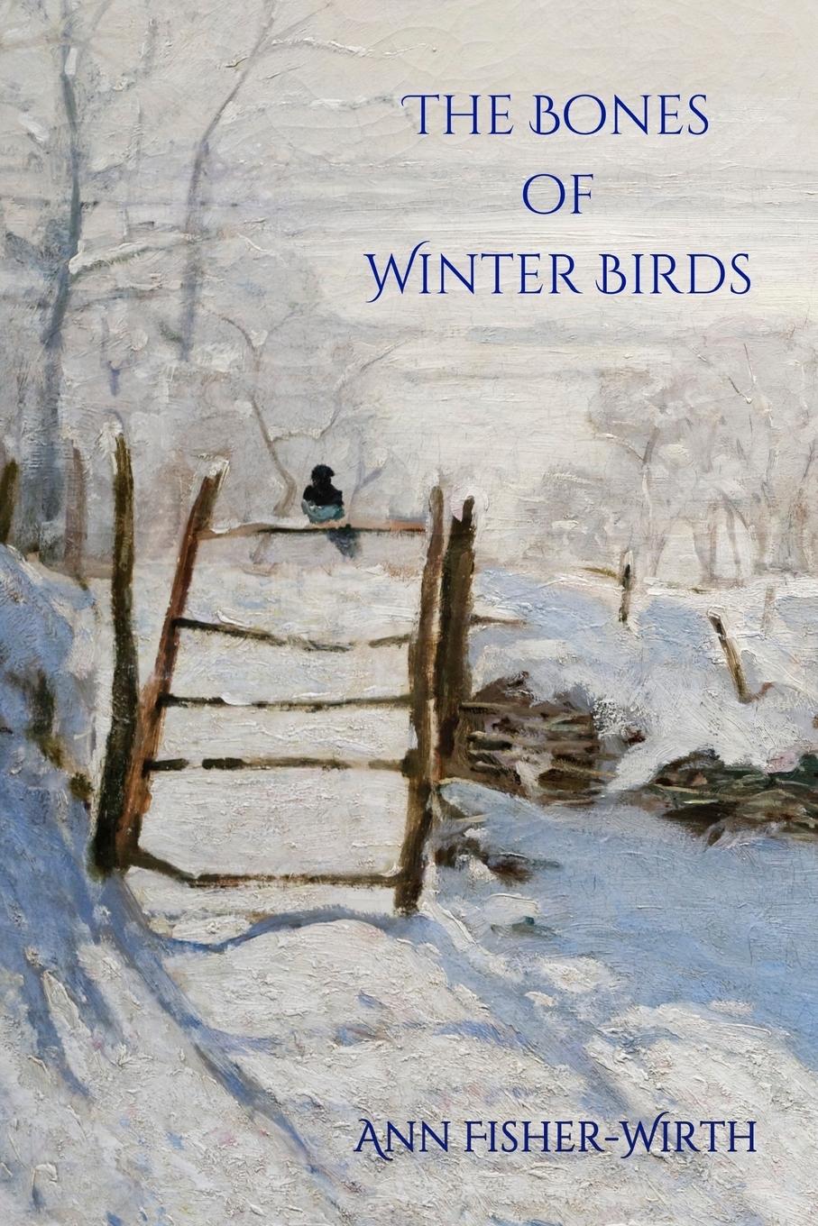 Vorderes Coverbild The Bones of Winter Birds
