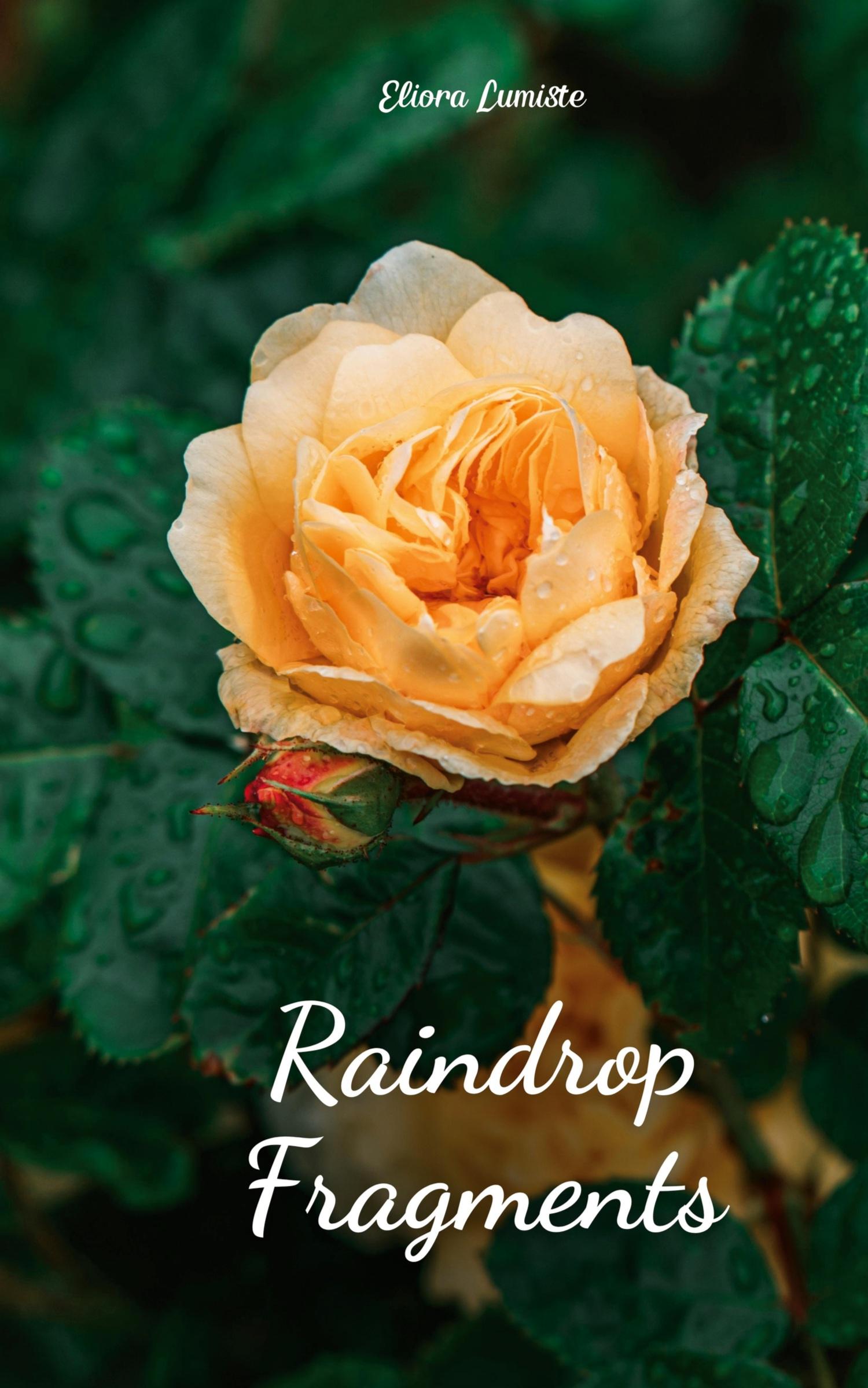 Vorderes Coverbild According to Harry