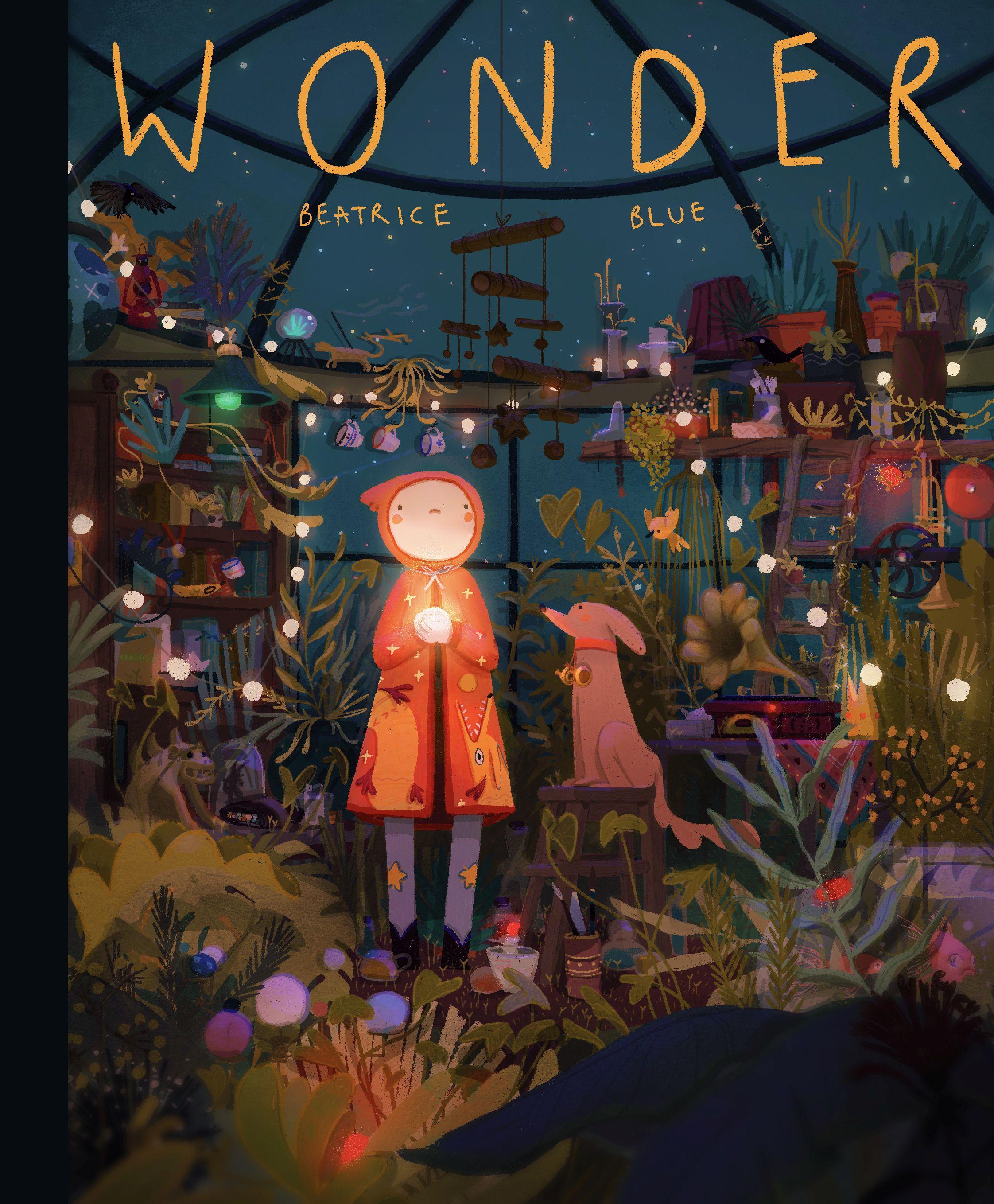 Vorderes Coverbild Wonder