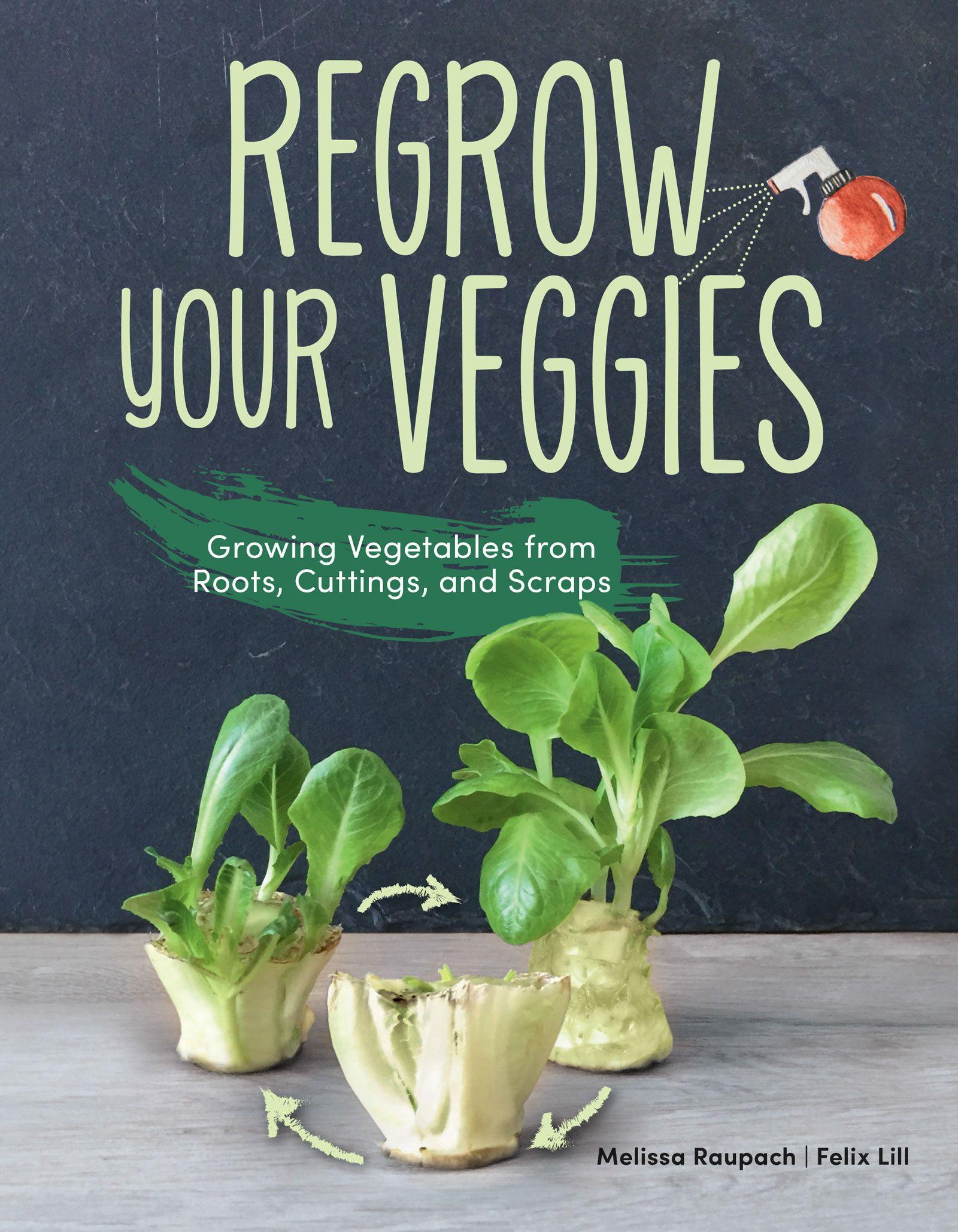Vorderes Coverbild Regrow Your Veggies