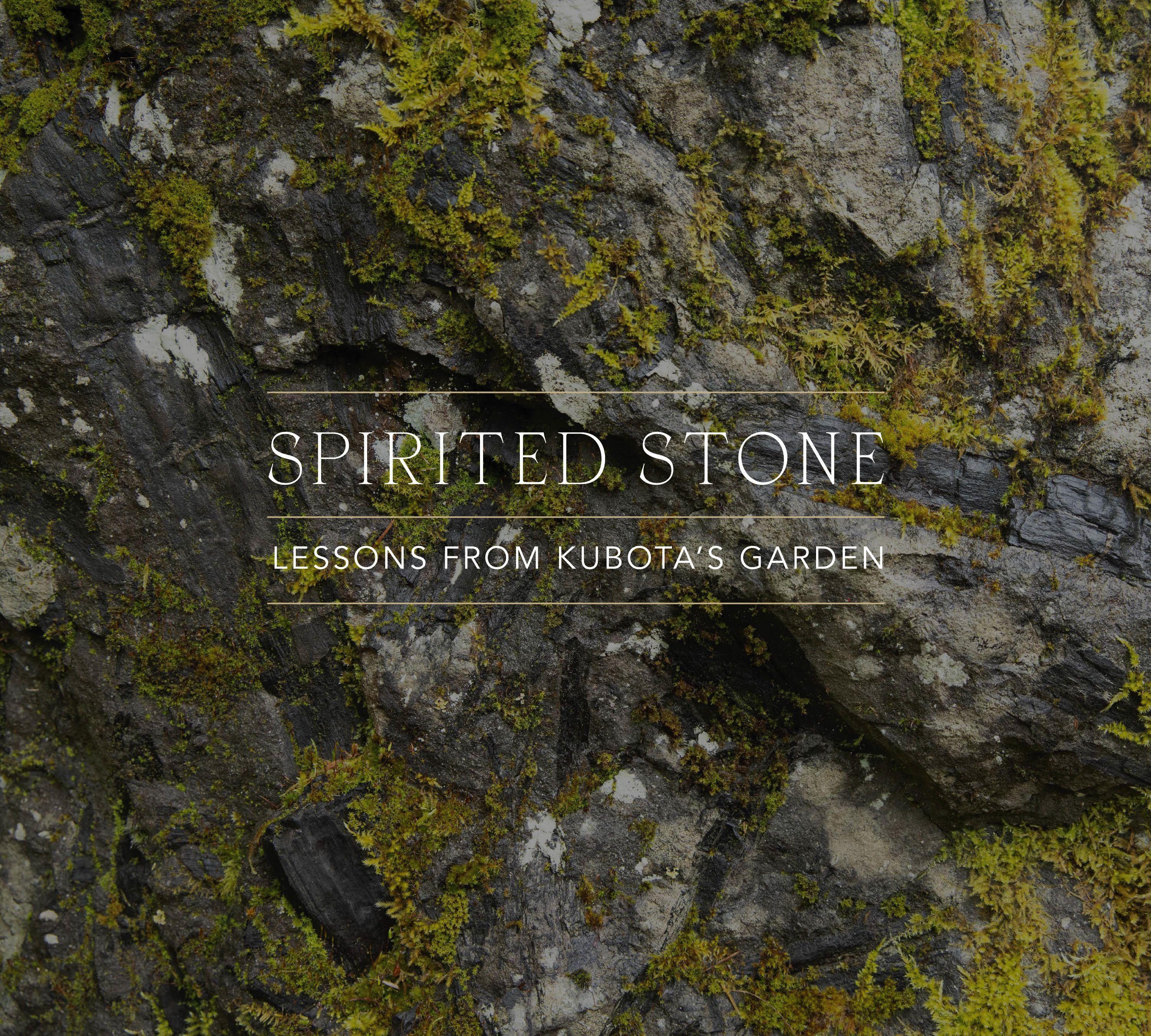 Vorderes Coverbild Spirited Stone