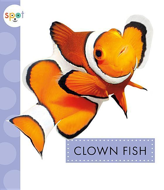 Vorderes Coverbild Clown Fish