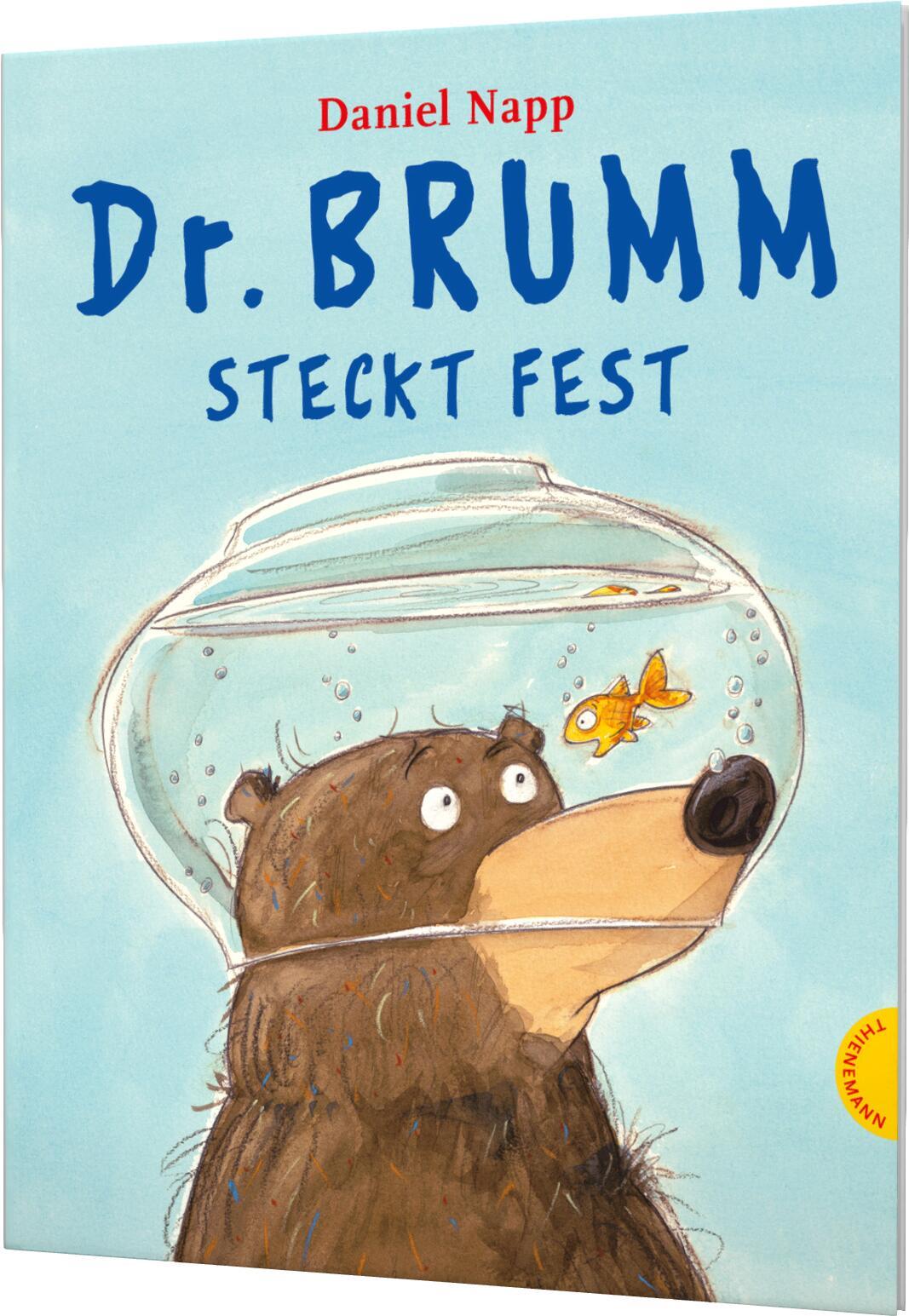 Vorderes Coverbild Dr. Brumm steckt fest