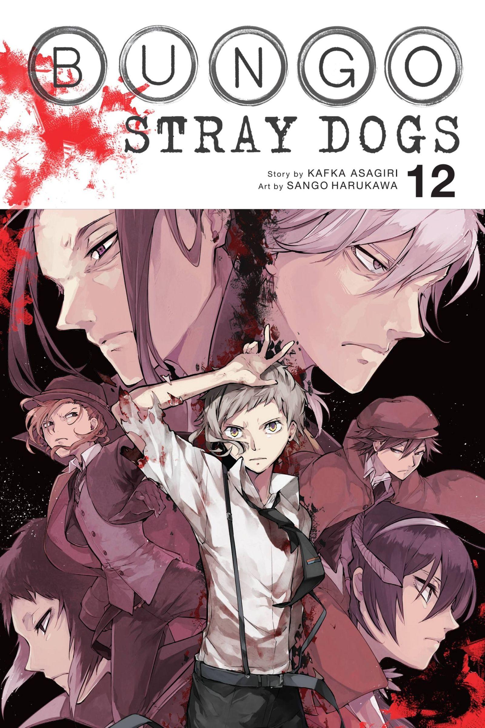 Vorderes Coverbild Bungo Stray Dogs, Vol. 12