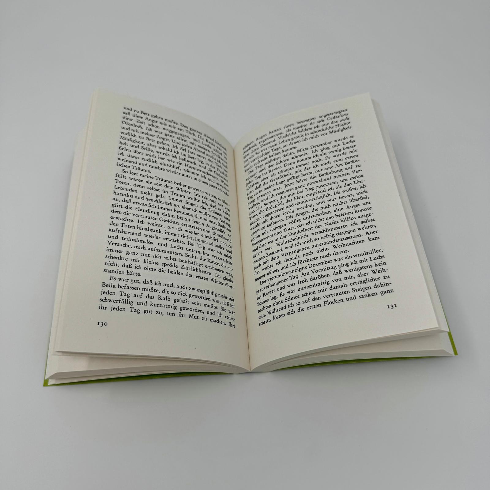 Beispielinhalt (Bild) Die Wand