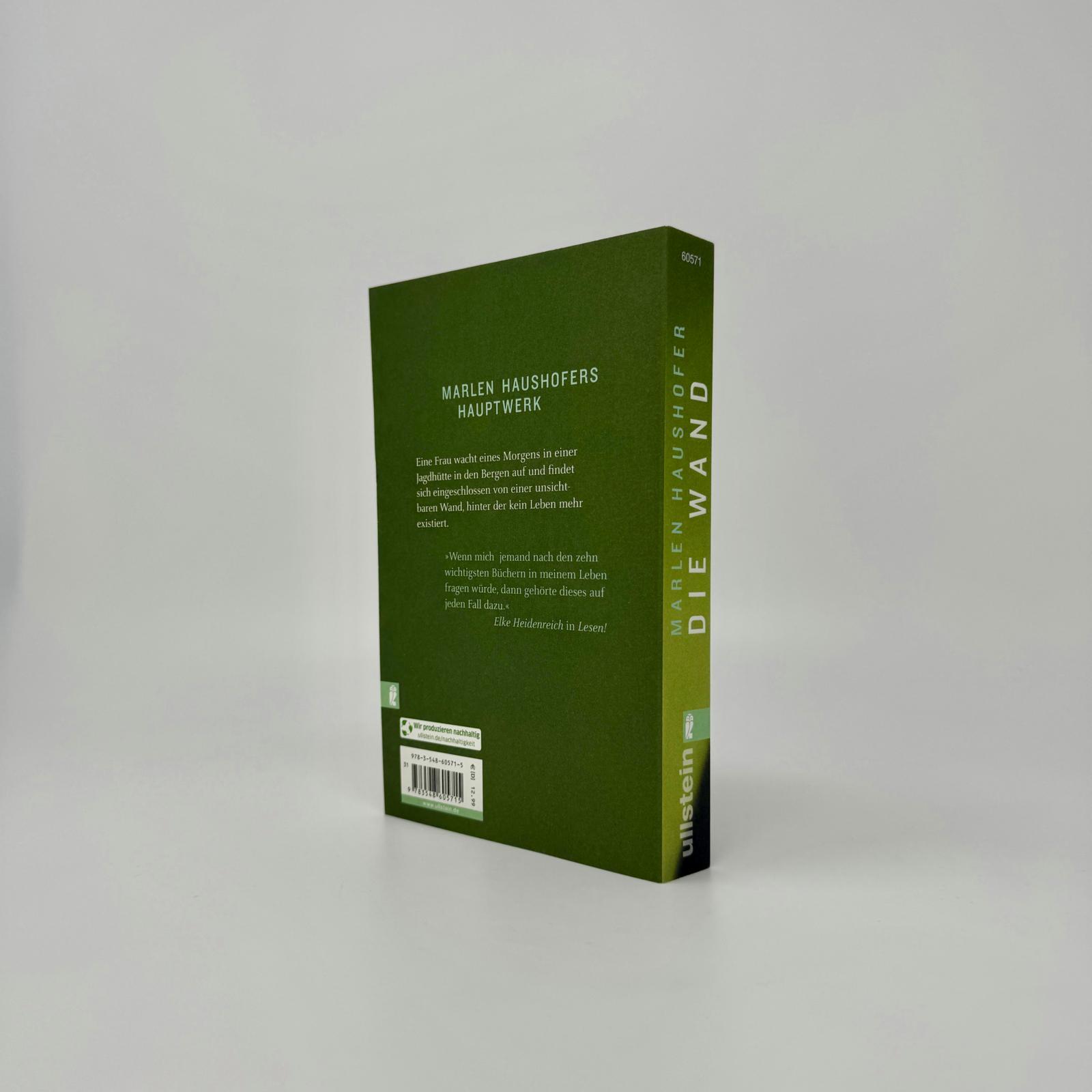 Beispielinhalt (Bild) Die Wand