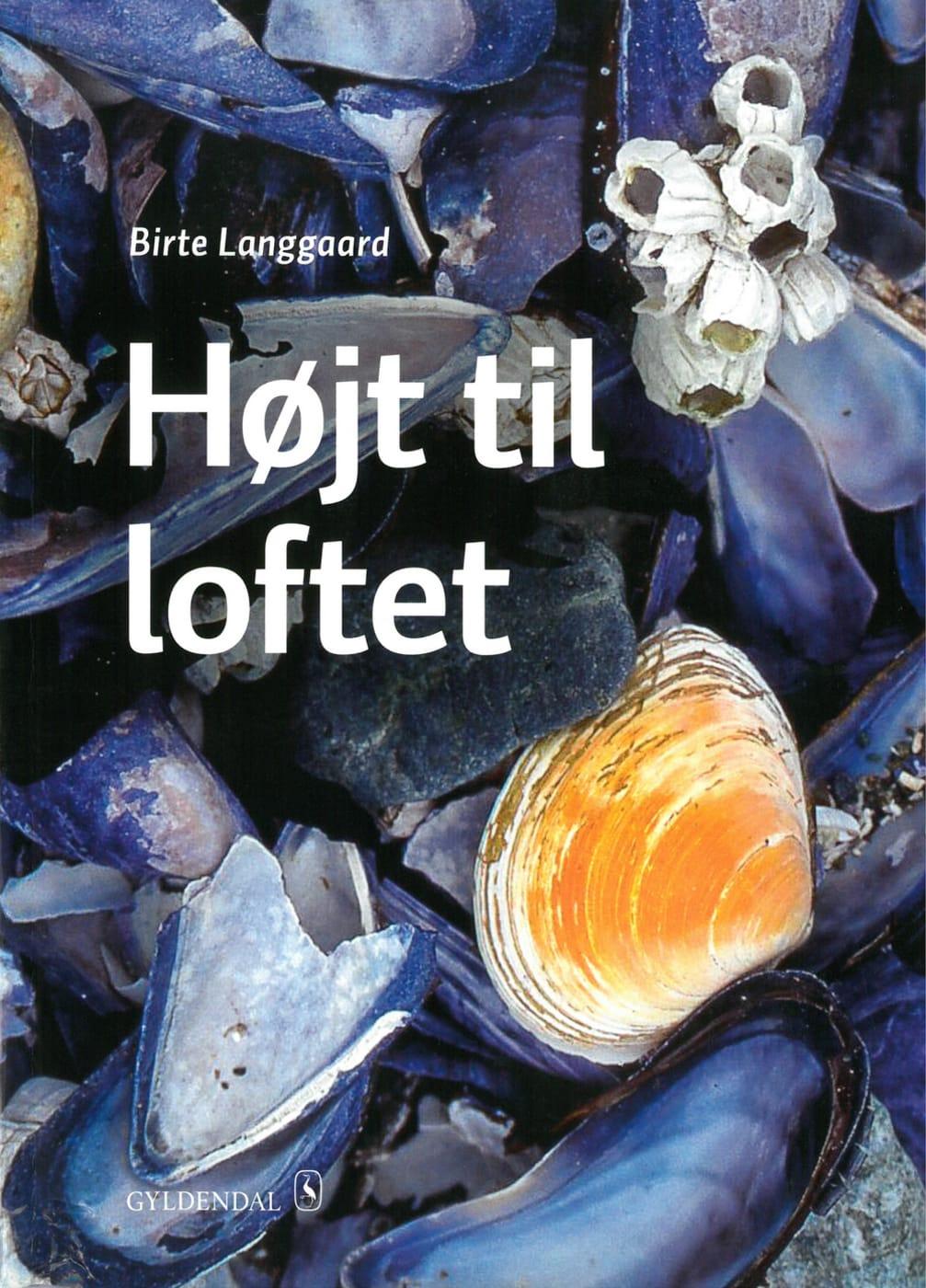 Vorderes Coverbild Højt til loftet (B2)