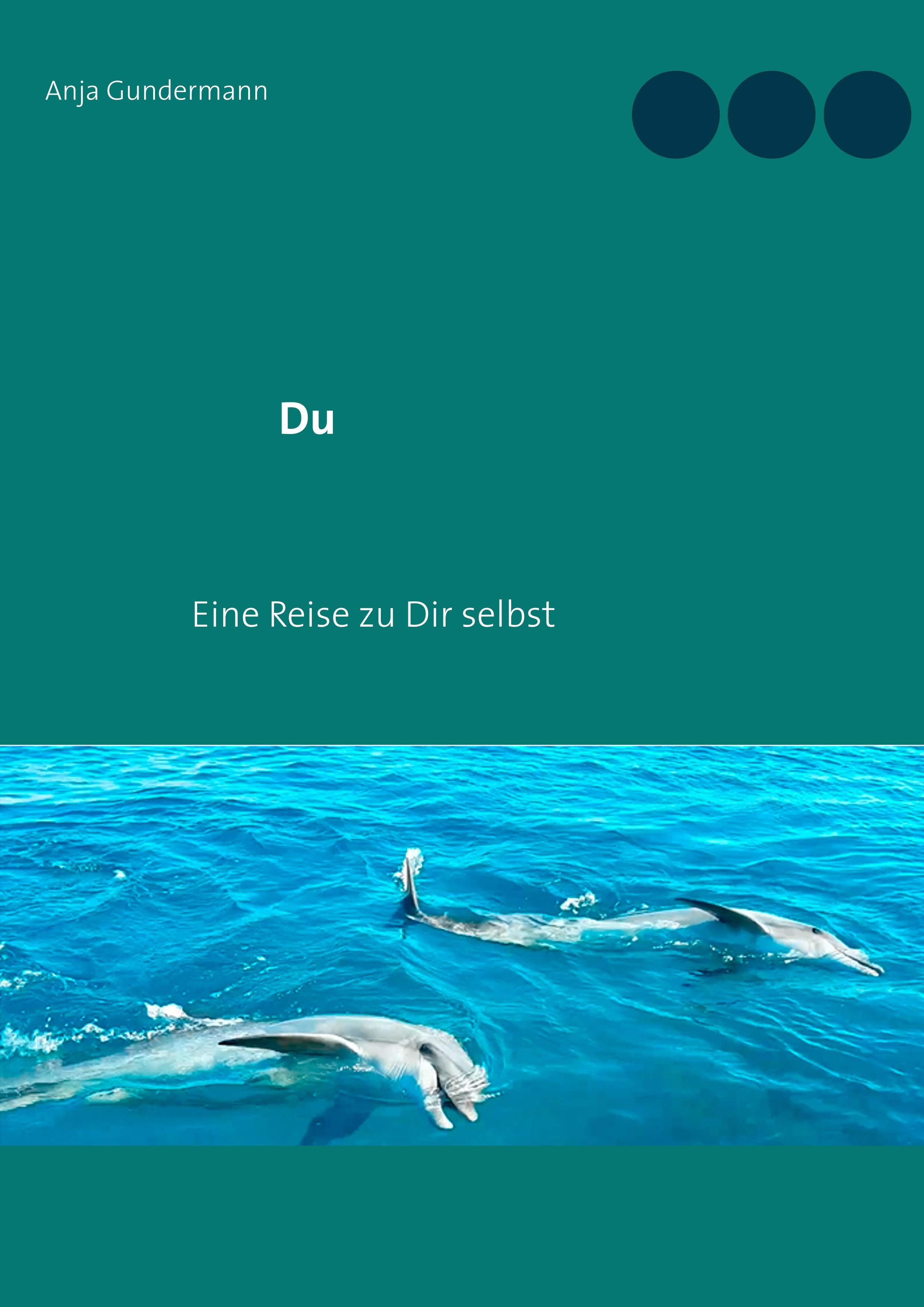 Vorderes Coverbild Du