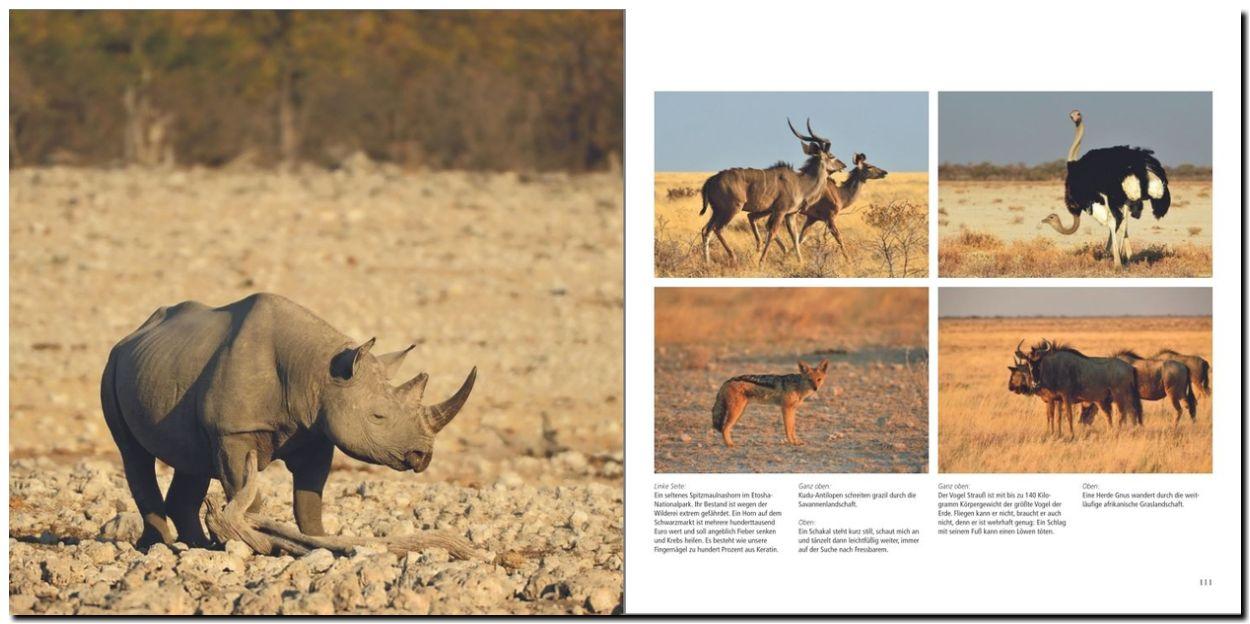 Beispielinhalt (Bild) Namibia und Botswana - Wildnis Afrika