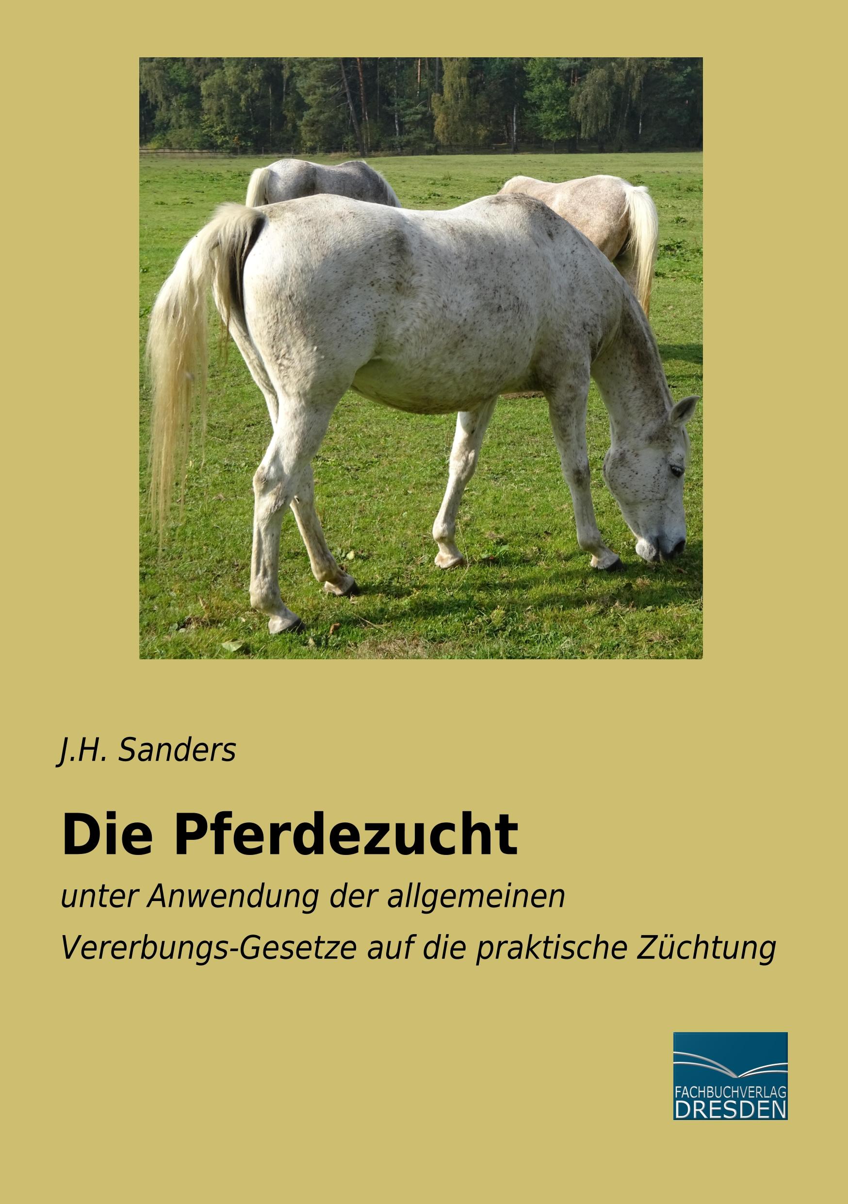 Vorderes Coverbild Die Pferdezucht