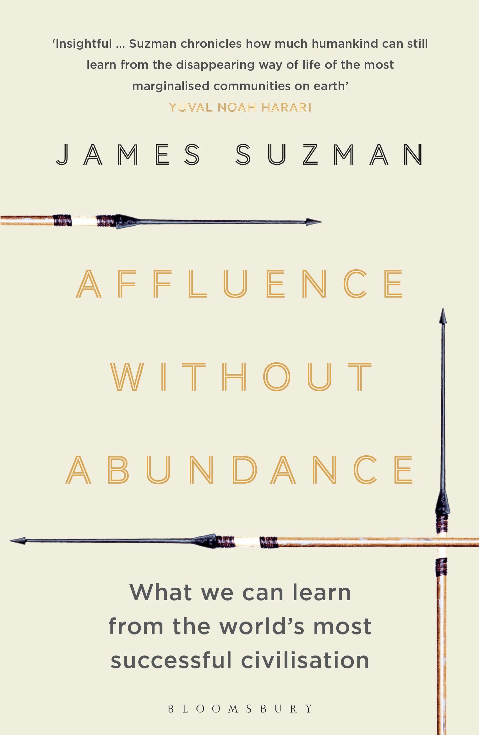 Vorderes Coverbild Affluence Without Abundance