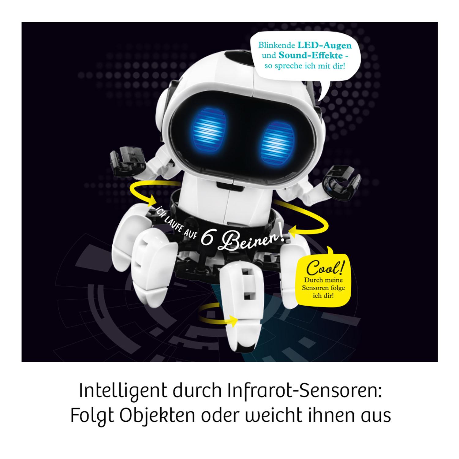 Beispielinhalt (Bild) Chipz - Dein intelligenter Roboter
