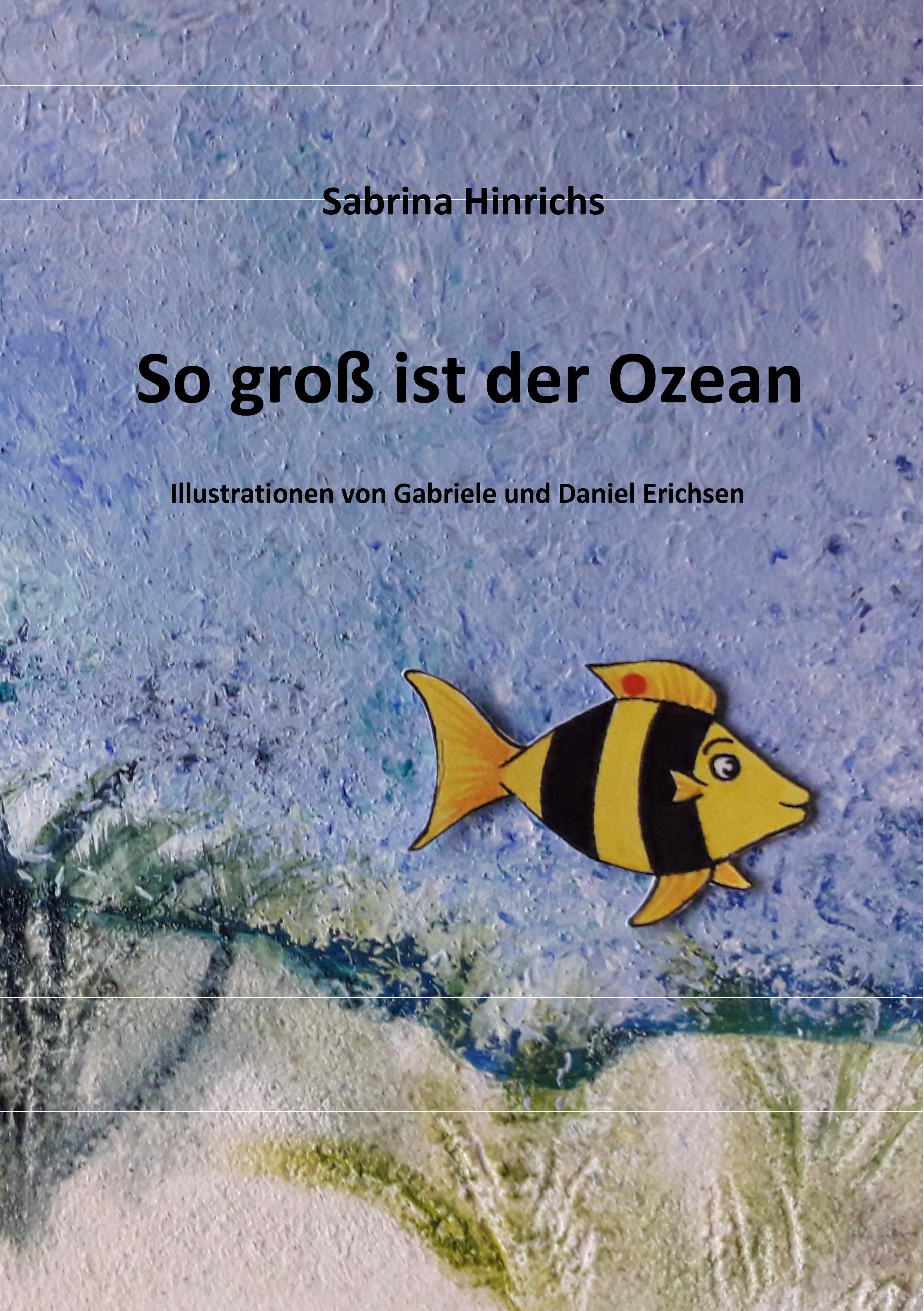 Vorderes Coverbild So groß ist der Ozean